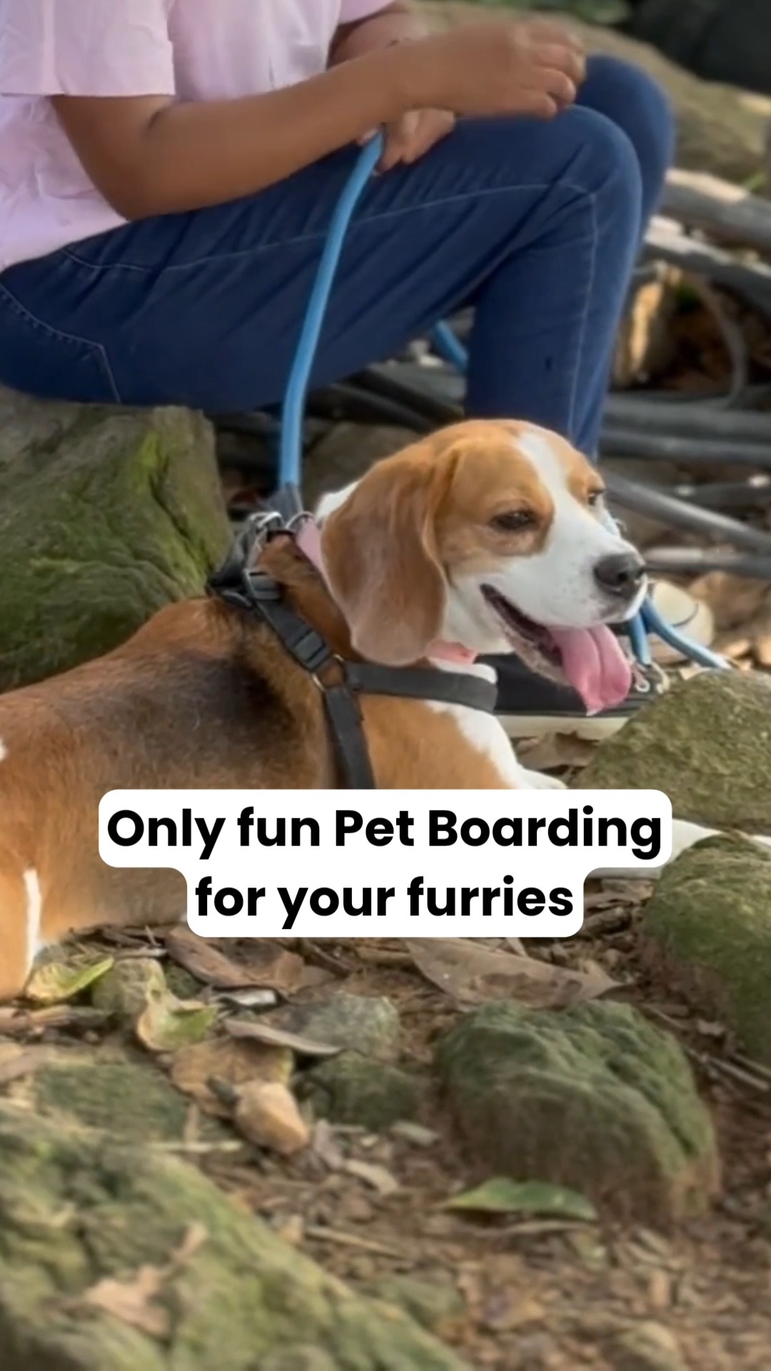 🐾✨ While you’re away, your pet deserves more than “just pet boarding.”
At Cessna Pet Retreat, every stay comes with:
💚 Spacious, comfortable stays
🏃 Playtime & enrichment
🩺 Vet-backed care
🍽️ Structured routines
🐶 Lots of love, attention & tail wags
Because peace of mind for you starts with a happy, comfortable pet. 💛
📞 Call 76196 34627 to book your pet’s staycation today!
#cessnapetretreat #petboarding #petboardingindia #dogboarding #petvacation #petwellness #dogsofindia #petparentsindia