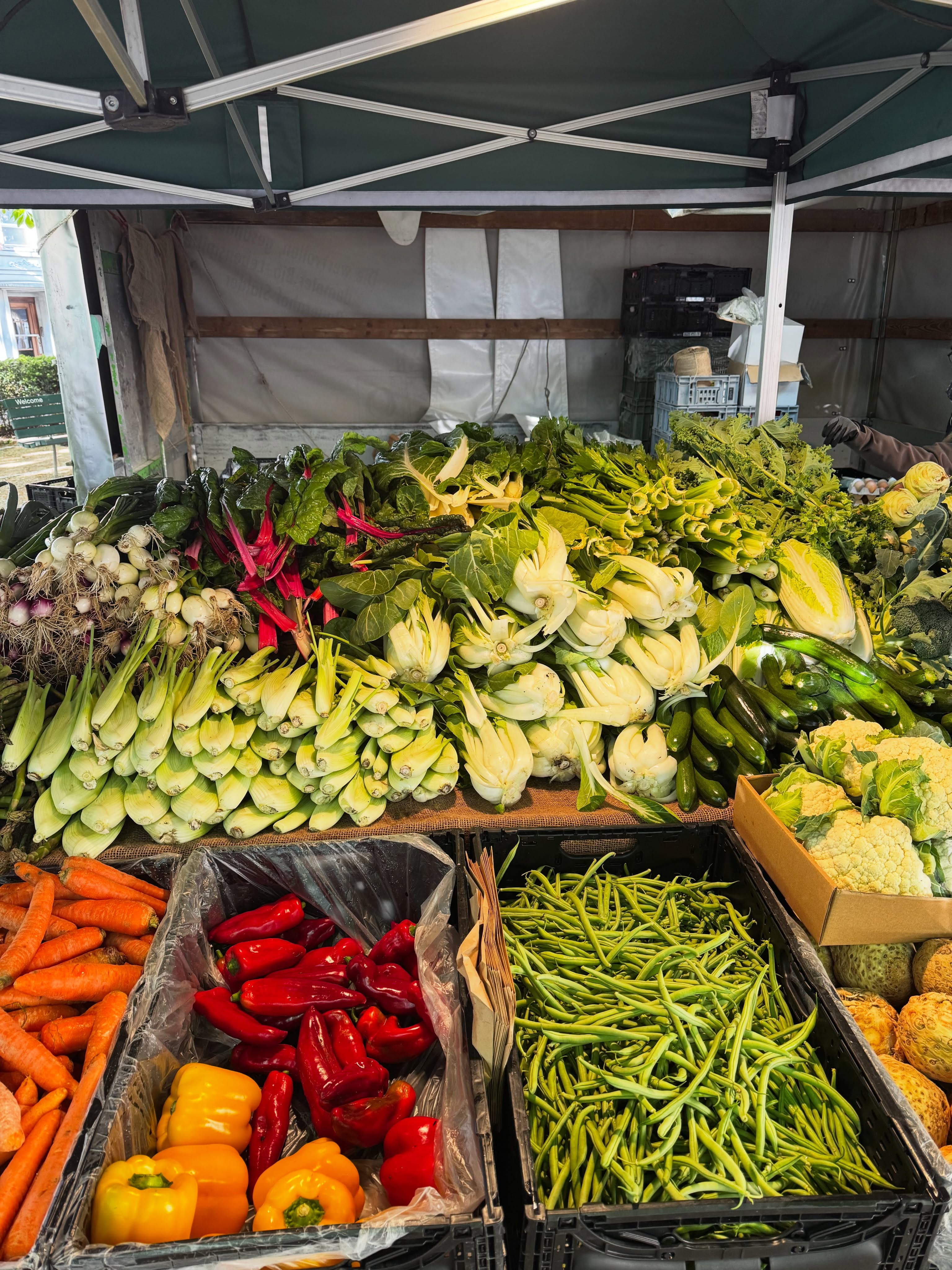 Was war das wieder für ein wunderschöner Markttag heute!!😍 Falls ihr gerne bei uns hinter dem Stand stehen möchtet, meldet euch doch!😊 Wir suchen unterstützende Marktmitarbeiter/Innen😊 Darf auch gerne weitergeleitet werden!🎉
.
.
#wochenmarkt #luzern #helvetiaplatz #markt #frischesobstundgemüse