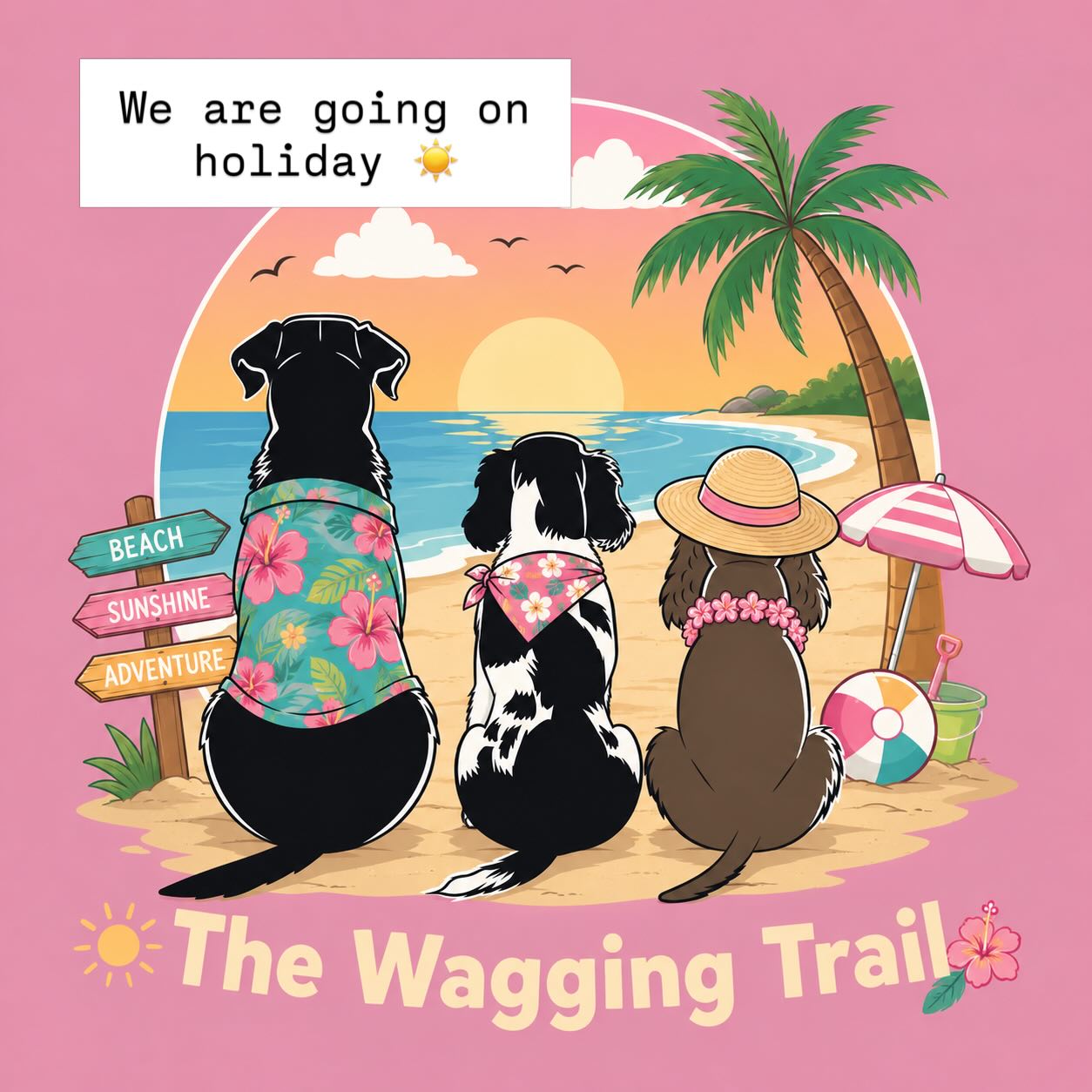 The Wagging Trail will be closed for a holiday from 12th - 22nd August. All walkies will resume from Monday 24th August. We will be walking as normal Monday 10th and Tuesday 11th August as usual :) Thank you ☀️ 🐾