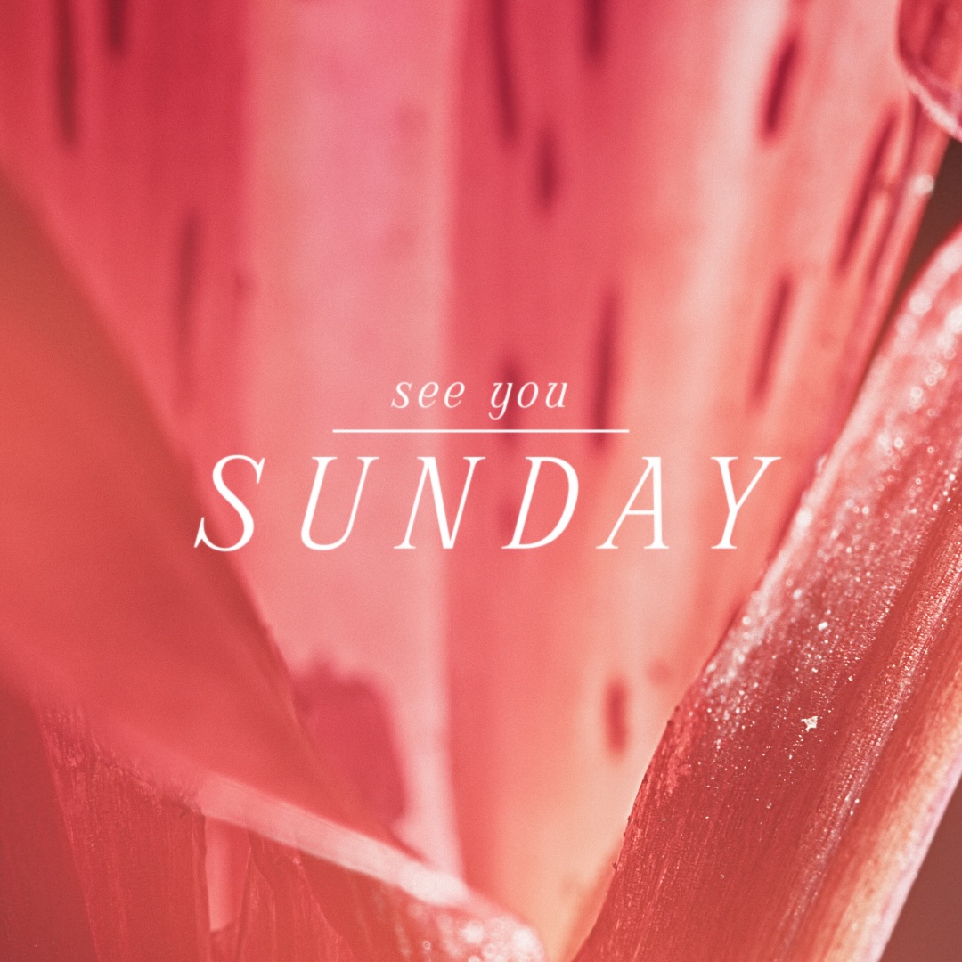 Celebrate Mother’s Day with us at Oasis of Grace Church! 🌸
This Sunday, we’re honoring and celebrating all moms with a special Mother’s Day service.
Tag a mom. Share this post. Bring your mom. Invite a mom. Let’s worship Jesus together and celebrate the women who love, lead, pray, and pour into our lives.
📍 93 Parish Dr., Wayne, NJ
🕙 Prayer: 10:00 AM
🙌 Worship & Word: 10:30 AM
🌐 www.ogcnj.com
#MothersDay #OasisOfGraceChurch #OGCNJ #WayneNJ #SundayService