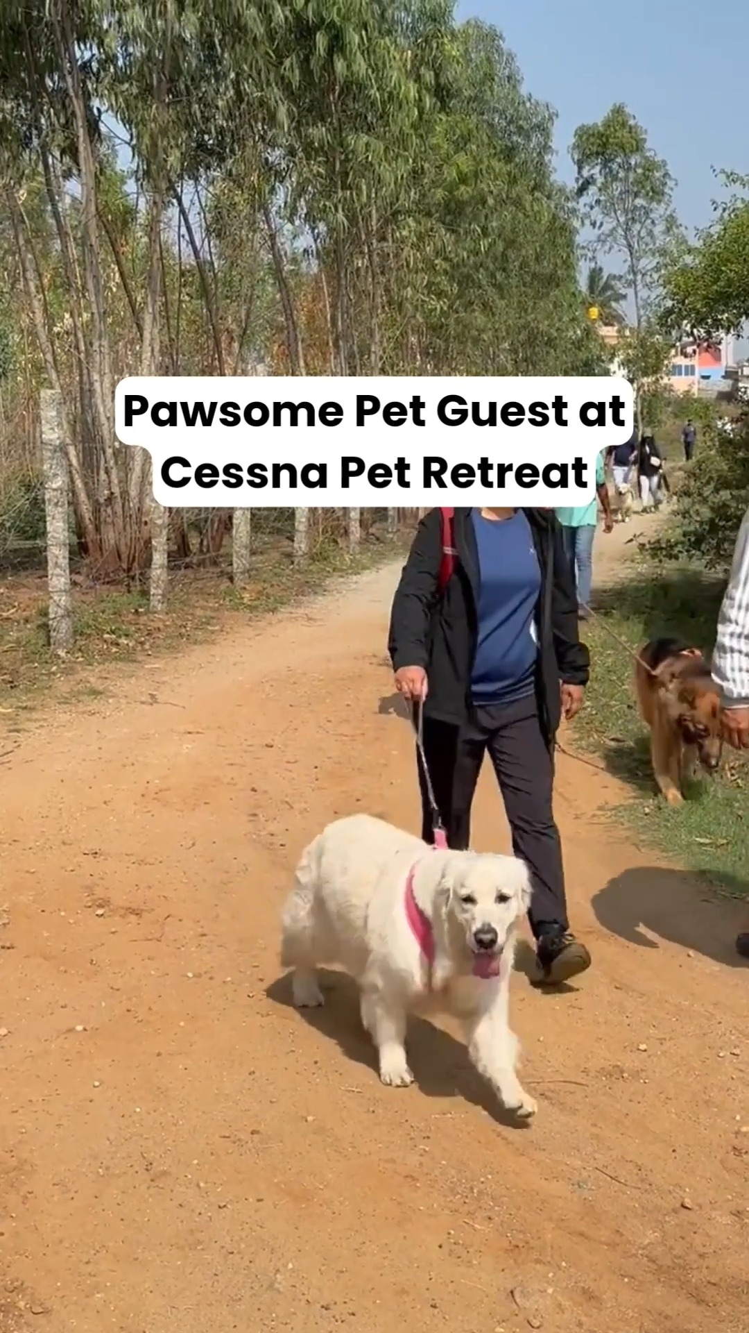 Just another PAWsome pet guest having a floricking time at Cessna Pet Retreat - Premium Pet boarding for your beloved furries!