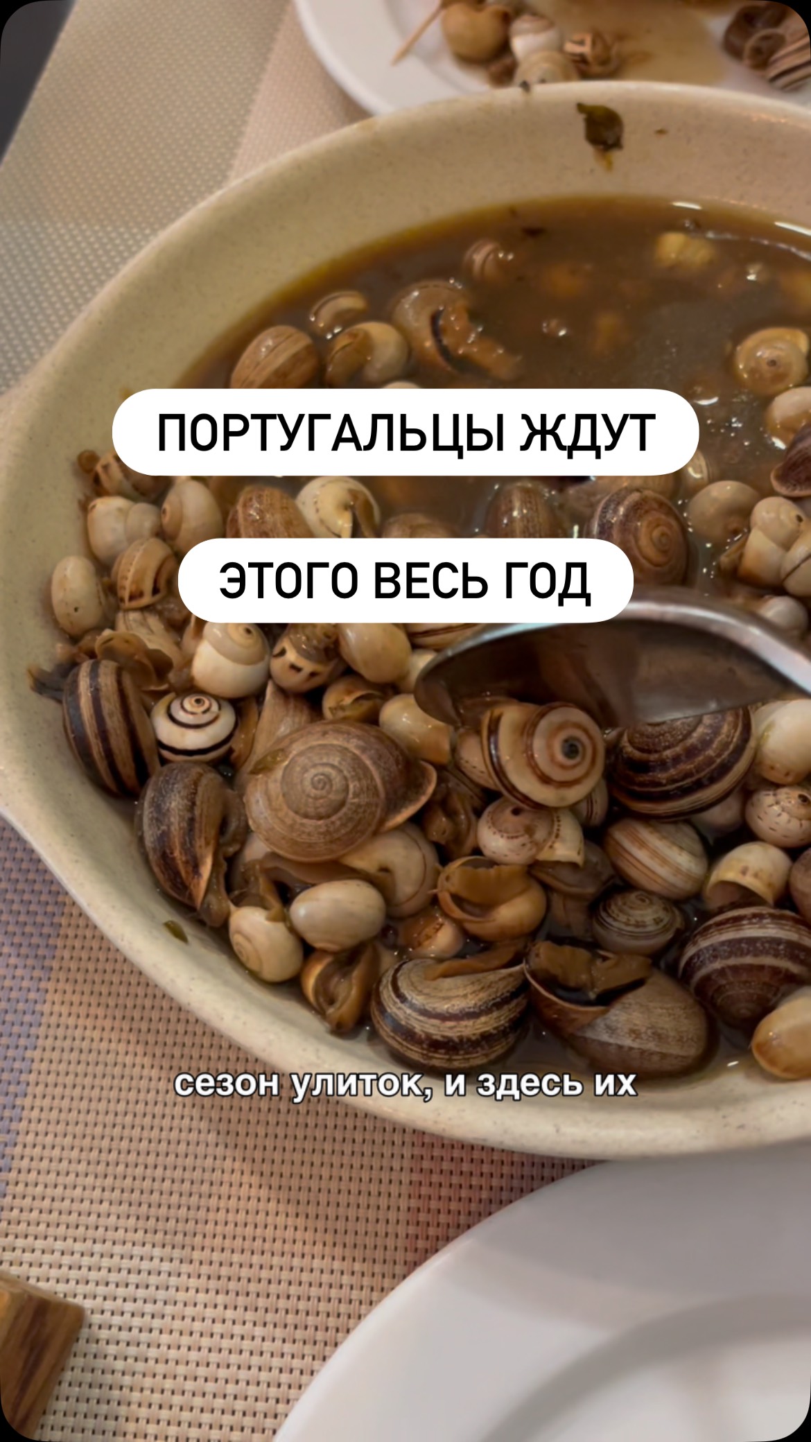 В Португалии начался сезон каракóиш 🐌
И да — улиток здесь действительно едят почти все местные 😄
Ароматный бульон, гренки с маслом и холодное пиво — идеальное комбо для вечера.
Мы показываем Португалию такой, какой её знают местные — с атмосферой, вкусной едой и нетуристическими местами 🇵🇹
Подписывайтесь, если вам интересна настоящая Португалия ✨