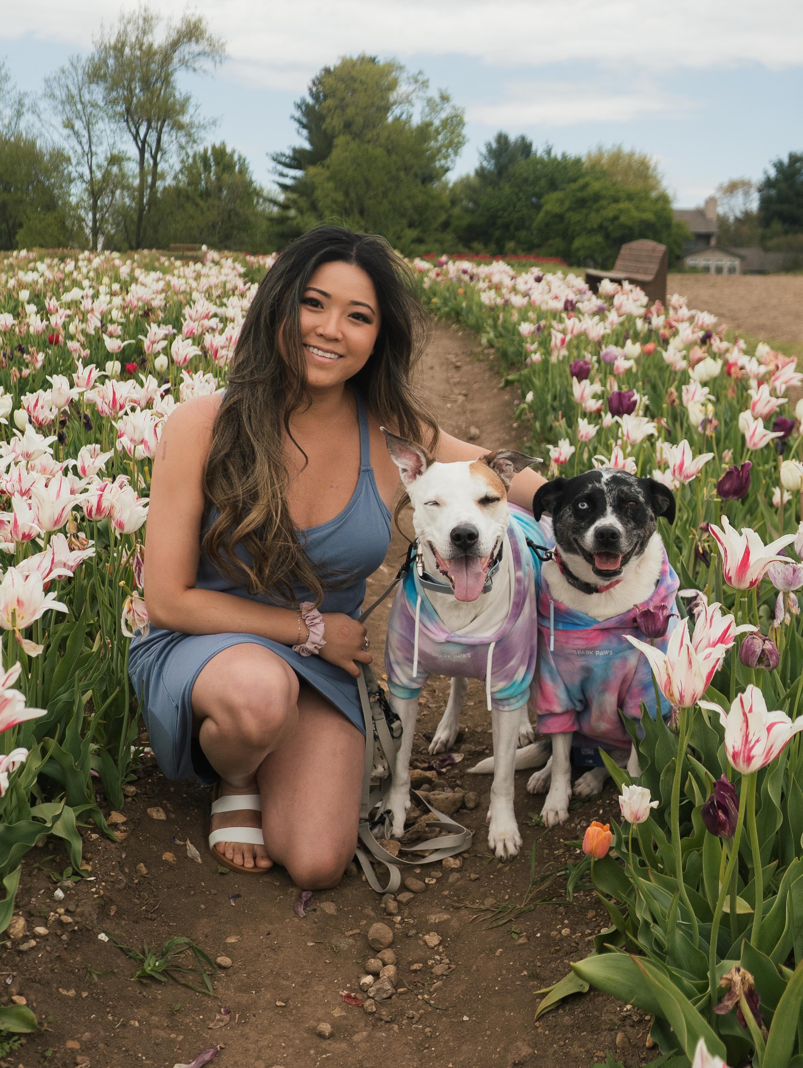 can you see the resemblance be honest
#tulipfestival 🌷