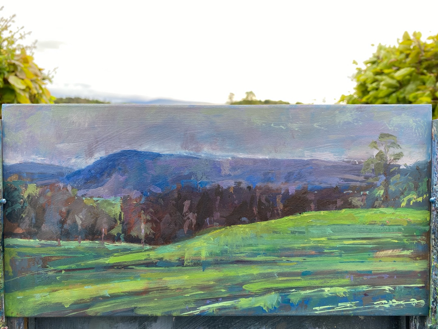 A big thank you to @rosecastleestate for inviting me to paint in your beautiful grounds at the weekend, I loved it!