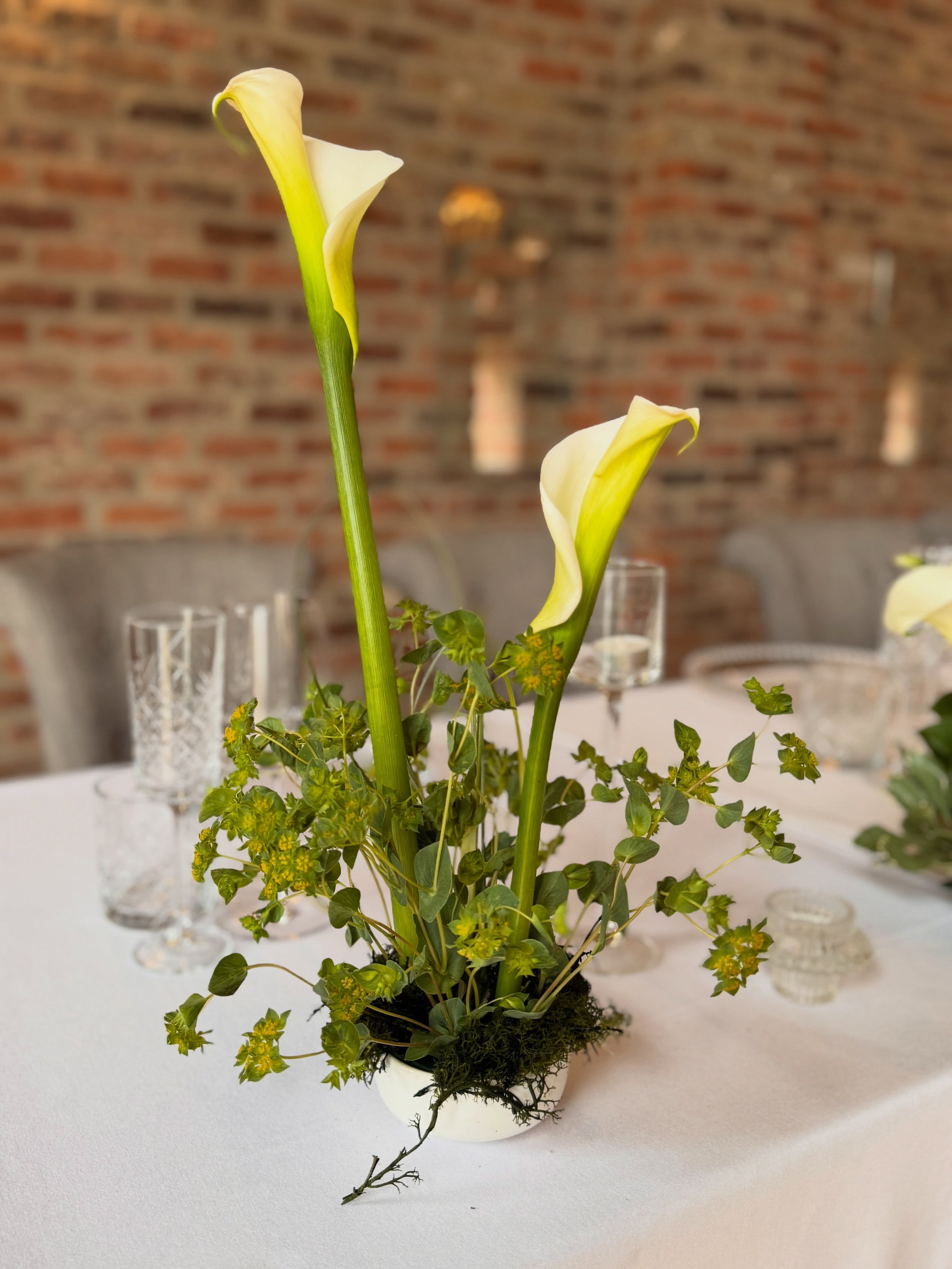 Calla Time \ Yes, they’re having a moment. Again. 🤍
Little pots of joy for this Top Table at The Oakwood.
#callalily #toptable #oakwoodatryther #yorkshireweddingstylistandflorist #yorkshirefloristandstylist