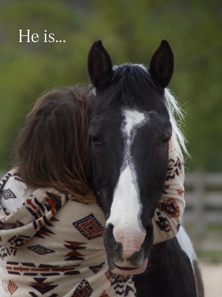 14 years ago I stood in a field with horses during my workation in Sweden: we were supposed to get the horses for a mountain trail ride. Cherokee took one look at me…and reacted as if I was the cause of grea danger. As he run back from me, not letting me out his sight for a moment. I saw the white around his eyes and could feel the frozen air between us.
When I got back with the group of people (all with their horses except me) my mentor told me to go back to my horse and speak my truth. As the group left without me, I walked trough the fields back to him. Looking back I can see all my armour, subconcious protection falling away. Somewhere along that walk I felt my heart opening.
While waves of emotion moved in and around me he walked up to me. He showed me the truth of my heart and soul and reminded me who I truly was.
This moment opened a whole new path for me. My way back to the horses, my path, my heart and to the work I now do. Last week I could thank him while I held him. For his love, his presence and for what he means to me. ❤️🙏✨
@sundanceranchsweden 🙏Anita 🙏Cherokee