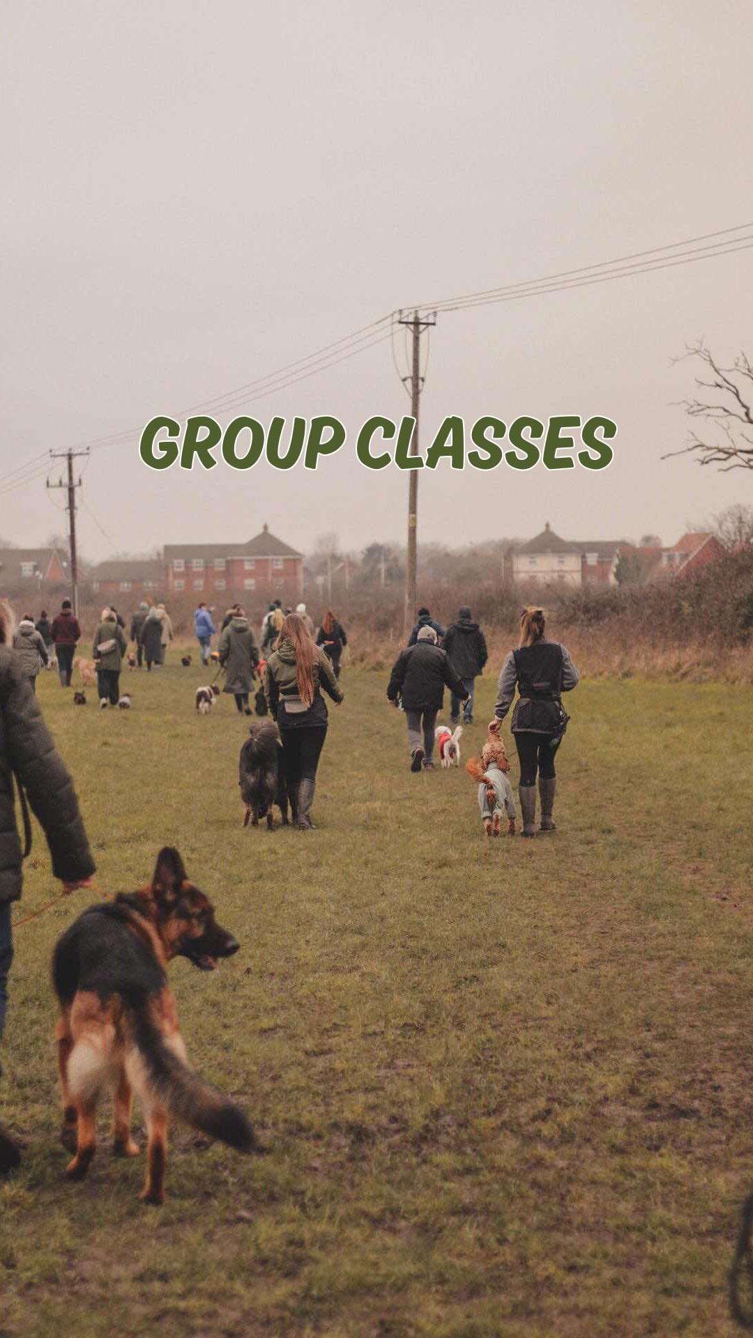 Holistic Hounds group classes 🙌🏻
A place for you and your dog to learn, grow and proof training in a supportive community! These classes are designed to push you and your dog in a way that helps you to gain confidence together
Interested in joining us? Drop us a DM ⬇️