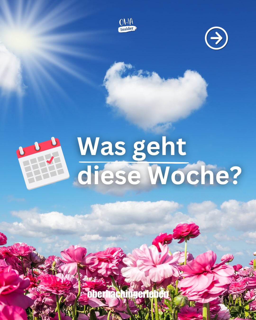 Wir wünschen euch einen erfolgreichen Start in die neue Woche! ✨
Swipe euch durch, um euch über die Veranstaltungen in Oberhaching zu informieren 📍
Vielleicht ist ja etwas für euch dabei? 👀
#wasgeht #wochenkalender #veranstaltungen #gewerbeverbandoberhaching #ohainsider