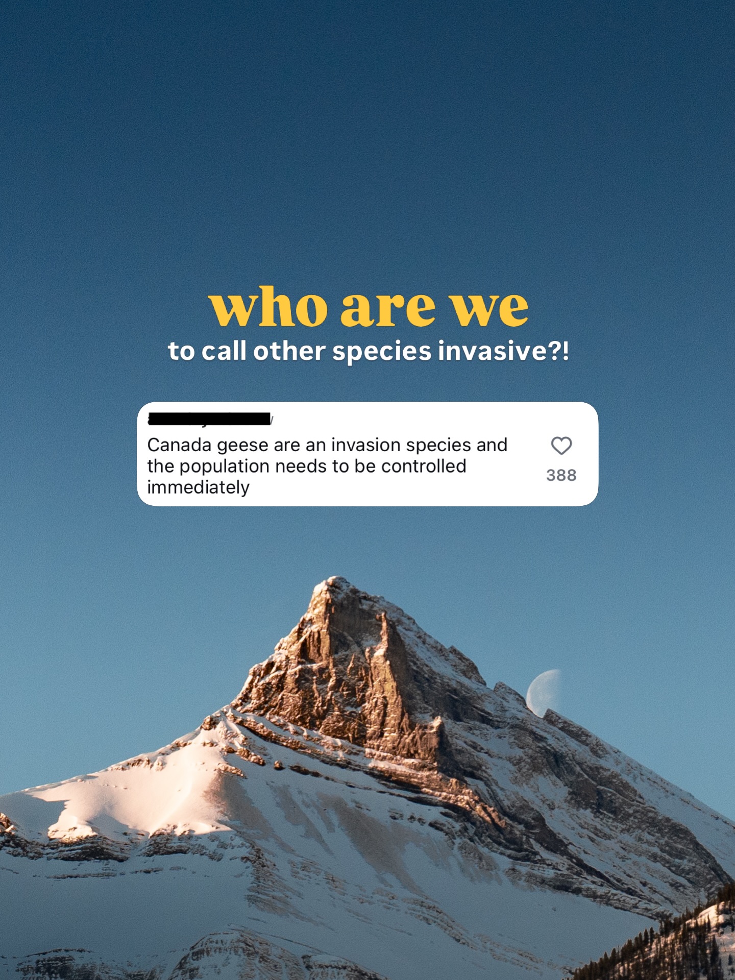 This comment made me think. 💭
And when I thought about it, it made me so angry, because of the audacity to think we’re better, or have a right to control other species.
And tbh, for a species that thinks it has the smartest brain on the planet, we’ve built some genuinely baffling systems. 😅
We’ve built ourselves a world where we’ve forgotten the simplest things. Like, how to just be, how to sit with a feeling instead of immediately trying to fix it, how to actually listen to our bodies, or how to exist in a moment instead of already planning the next one. But yet, some of us believe, we have the right to control other species? 🤔
And I know this might be a bit provocative, but I’m not pointing fingers, I catch myself in many of those slides in this post, too. 🙋♀️
I’m sharing this for awareness reasons and from a genuine place of curiosity, because I think it’s worth asking: why do we think we’re the ones with it all figured out?
Would love to hear your thoughts. 💛
______
#natureisbeautiful #learnfromnature #leavenotrace
(Sources: Bar-On et al., (2018) PNAS | WFP / UNEP Food Waste Report 2024)