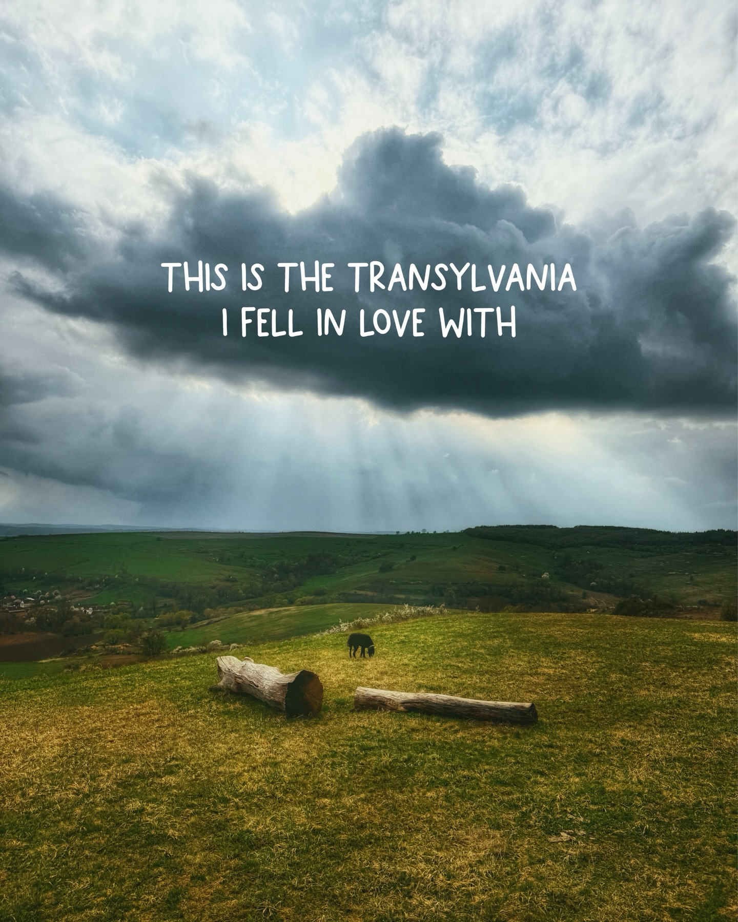 On our last trip to Transylvania, we were incredibly lucky to get to visit and hear the story of Villa Abbatis @va.equestrian.transylvania.
The place they have built is a small sanctuary in a village that feels forgotten by time. But I have to say… we were truly impressed by the people behind it. A couple who is actively shaping and protecting the land and community around them.
By buying and caring for the land, they help preserve the wildflower meadows this region is so special for. Transylvania is home to some of the most diverse wildflower landscapes in Europe, and seeing them protected like this feels incredibly meaningful.
They also support local artisans, making sure they have the tools and space to continue their craft. Through their efforts they keep something real alive.
And then there are the horses… cared for with so much love. You can explore the hills and forests on horseback, move slowly from one village to another and experience Transylvania in a way that feels almost forgotten today.
If you want to experience Transylvania on a horseback tour, you know where to go! @va.equestrian.transylvania
The whole experience is just… wholesome ❤️and a reason why I love Transylvania.
#Transylvania #HorseBackRiding #VisitRomania