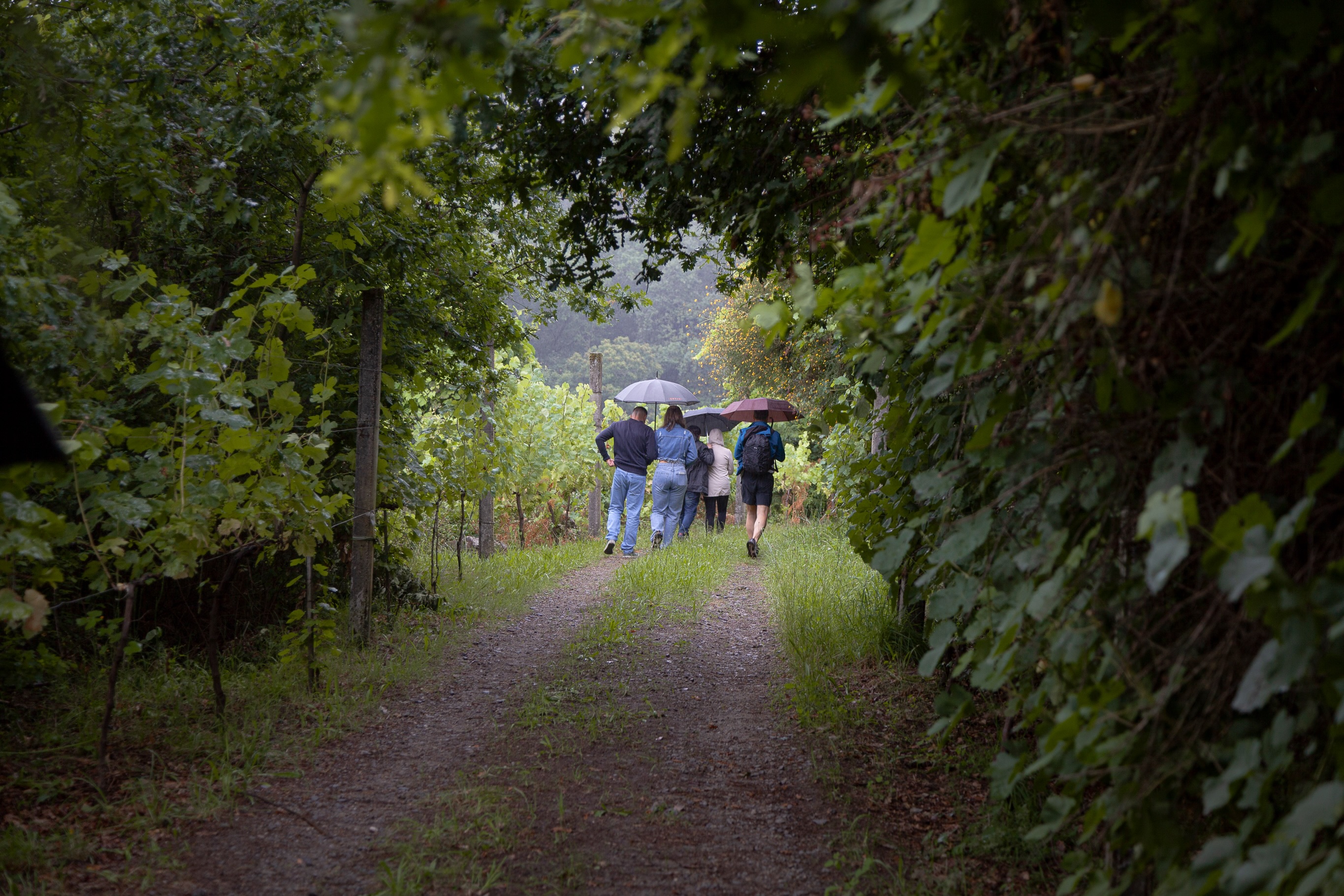 Há lugares que ganham alma com a chuva. A Quinta dos Encados é um deles. Venha descobrir porquê ✨
Fotos: Francisco Azevedo e Debbie Fuller
__
EN
Some places find their soul in the rain. Quinta dos Encados is one of them. Come and discover why. ✨
Photos: Francisco Azevedo e Debbie Fuller
#QuintadosEncados #RegiaoDemarcadaDosVinhosVerdes #OakForest #Criativity #RainyDays