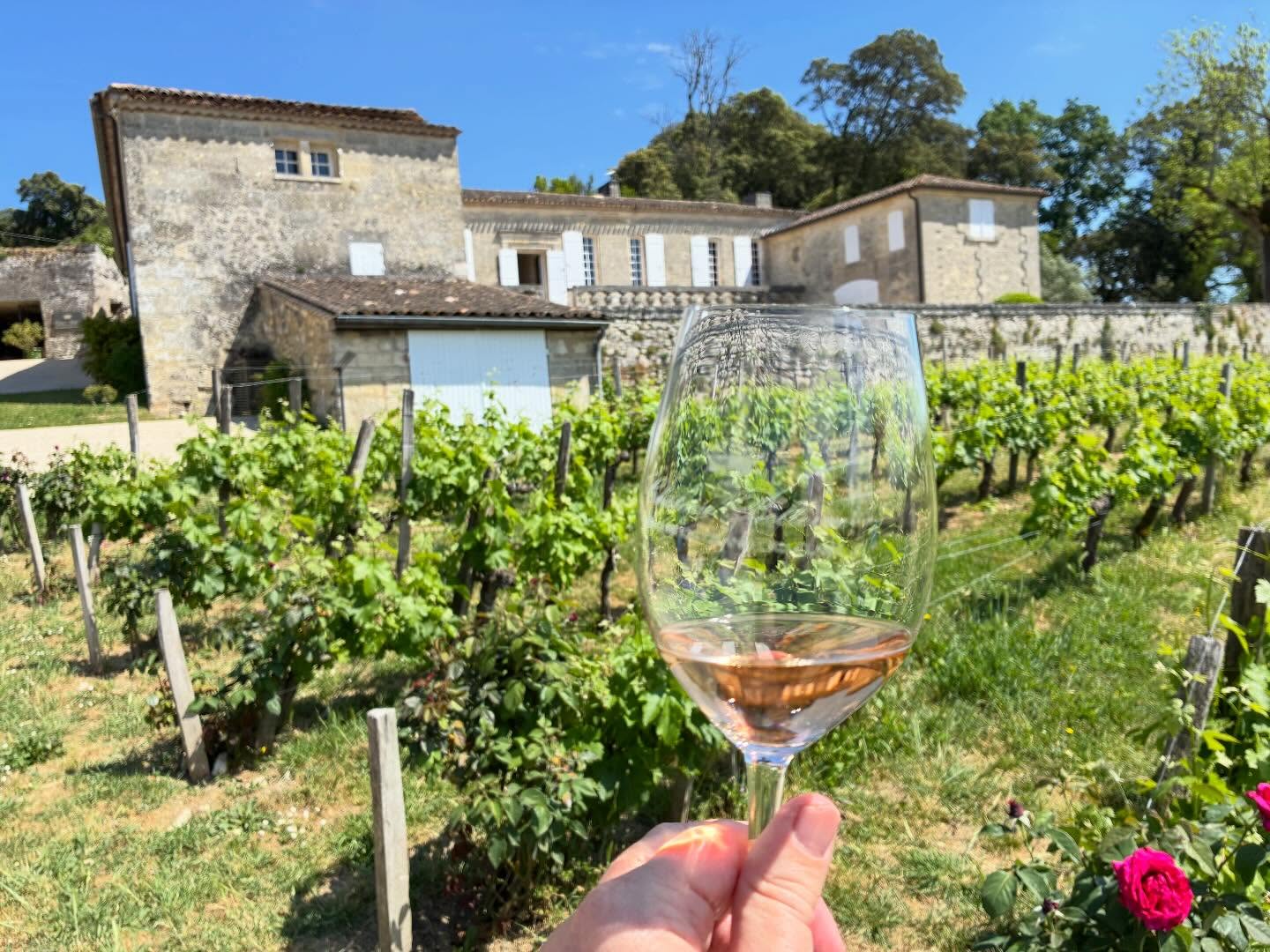 The vineyards around Bordeaux and Saint-Emilion are absolutely stunning.