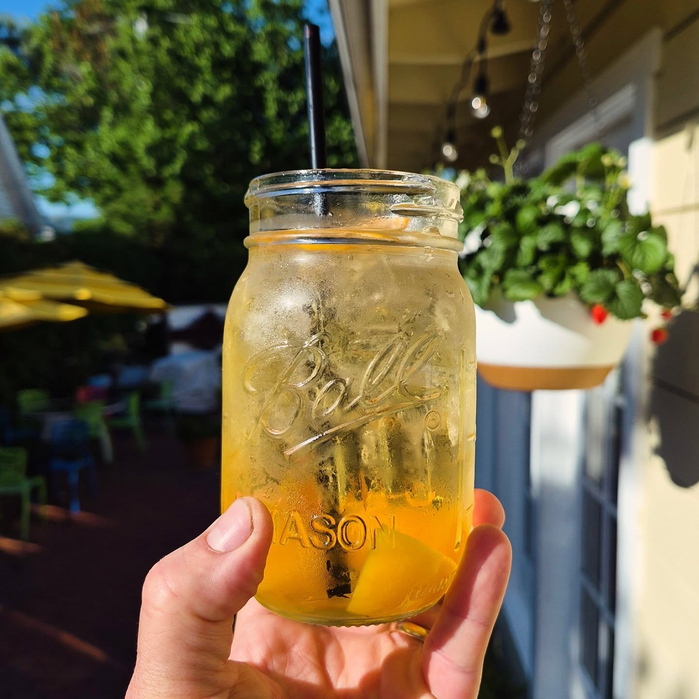 This is so refreshing and tasty!!!! Our spiked peach cider is just what you'll need when it starts to get hot outside! Bourbon infused peaches, Bourbon and organic peach cider!!!