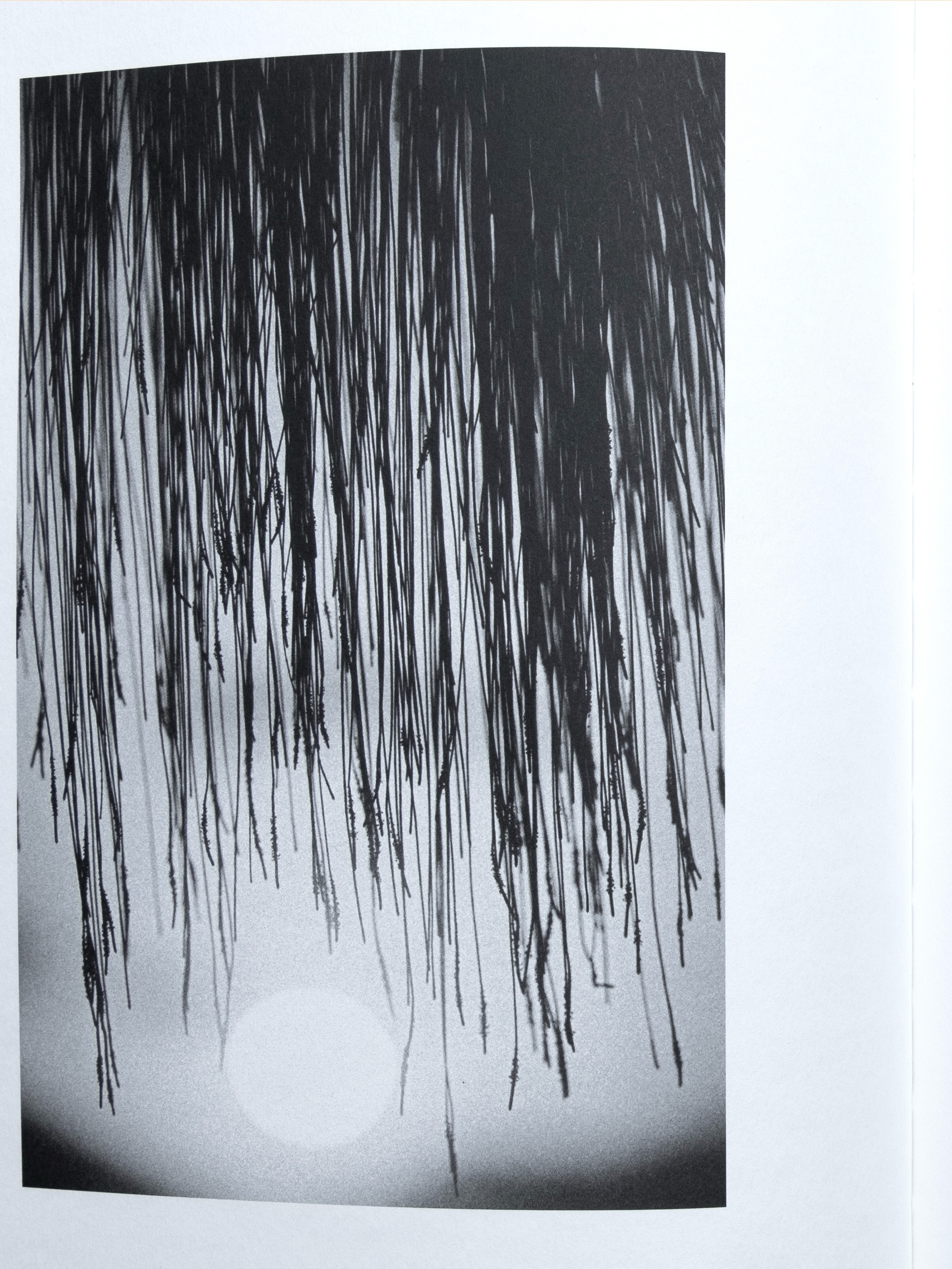 spread from ‘Totem’ book @equator