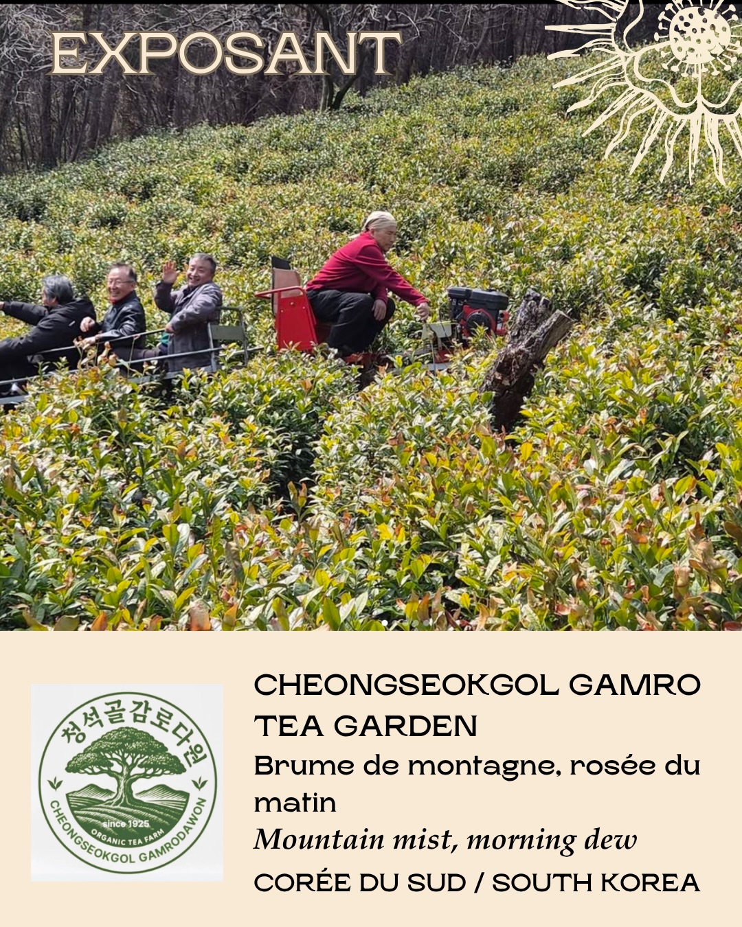 đ«đ·âš NOUVEL EXPOSANT â CHEONGSEOKGOL GAMRO TEA GARDEN âšâšđHadong, CorĂ©e du Sud
Brume de montagne, rosĂ©e du matin.âšSituĂ© Ă Hadong, au pied du mont Jirisan, Cheongseokgol Gamro Tea Garden produit des thĂ©s corĂ©ens premium dans un jardin forestier dâaltitude, prĂ©servĂ© et profondĂ©ment liĂ© Ă la nature.
đ Les feuilles sont cueillies Ă la main au dĂ©but du printemps, lorsque la montagne garde encore la fraĂźcheur de la rosĂ©e et des brumes matinales. Elles sont ensuite torrĂ©fiĂ©es neuf fois dans des chaudrons en fer, selon un savoir-faire traditionnel qui prĂ©serve la puretĂ© du goĂ»t et la clartĂ© des arĂŽmes.
đ± Entre terroir de Jirisan, geste patient et artisanat sincĂšre, Cheongseokgol Gamro Tea Garden rĂ©vĂšle un thĂ© corĂ©en dâune grande finesse, portĂ© par la forĂȘt, le feu et le temps. Une rencontre avec la beautĂ© pure du thĂ© de montagne.
à découvrir le dimanche 14 juin à la Maison Internationale.
đŹđ§âš NEW EXHIBITOR â CHEONGSEOKGOL GAMRO TEA GARDEN âšâšđHadong, South Korea
Mountain mist, morning dew.âšLocated in Hadong, at the foot of Jirisan Mountain, Cheongseokgol Gamro Tea Garden crafts premium Korean teas in a preserved high-altitude forest garden.
đ The leaves are hand-picked in early spring, when the mountain still holds the freshness of morning dew and mist. They are then pan-roasted nine times in iron cauldrons, following a traditional method that preserves the pure taste and clear aroma of nature.
đ± Between Jirisan mountain terroir, patient gesture, and honest craftsmanship, Cheongseokgol Gamro Tea Garden reveals a delicate Korean forest tea, shaped by nature, fire, and time. A meeting with the quiet purity of mountain tea.
To discover on Sunday, June 14 at the Maison Internationale.
đ Paris Tea Festival âšâšđ 14 juin 2026 10h-19h
đ La Grande Rencontre Maison Internationaleâš(65 exposants, 25 confĂ©rences, tables rondes et les plus grands noms du thĂ© Ă Paris)âšđ Billetterie disponible
#ptfouiouiouiđ„ #ParisTeaFestival #GamroTeaGarden