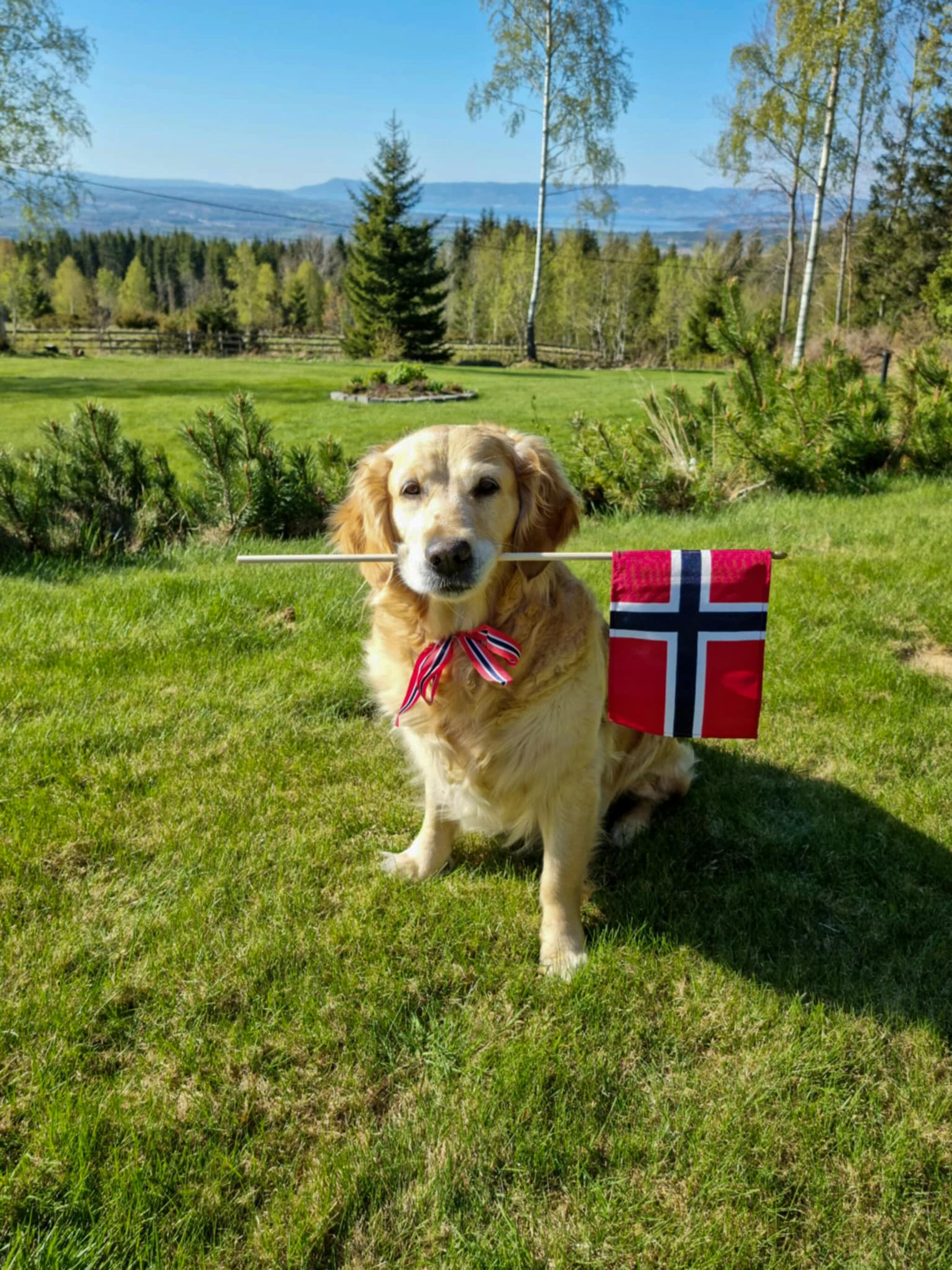 Vi ønsker alle en riktig god 17.mai! 🥳 Hipp hipp hurra 🇳🇴