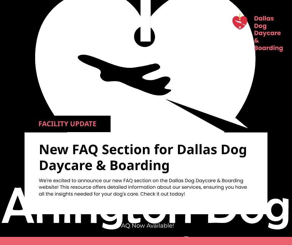new FAQ section on the Dallas Dog Daycare & Boarding website! Curious about our services and how we can support your pup? Check out all the insights you need for their care!
https://www.dallasdogsdaycare.com/faq