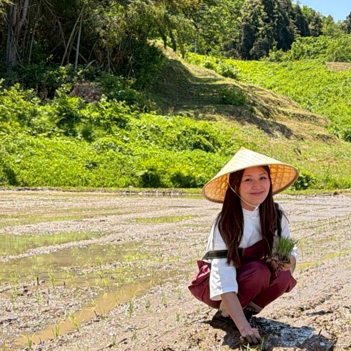 この週末は、新潟妙高へ
スタニングの美養米『すず芽』の田植えに行きました🌱
妙高で、風もなく雲ひとつない晴天の田植えは
ものすごく珍しいと農家さんも驚いていました
スタニングのお米をお願いしている田んぼは、
昔ながらの農法をずっと守ってくださっていて
地球の循環力により土の力を最大に引き出し
肥料は前の年の籾殻や稲のみ、化学肥料や農薬に一切頼らないため、土がちゃんと生きており
大きいミミズやカエル、ヒル、アメンボなどいろんな生物が自然の形で生息しています。
そのため、
素足で入るのは危険⚠️ということで、
つなぎと笠を用意してくださってました☺️
わたし似合いますね笑
栄養満タンの柔らかい田んぼは、
苗を植え込む時、滑らかで温かく
ずーっと手を入れておきたいくらい気持ち良かったです
決して、『汚れた』とは感じない
お母さんに抱きしめられているようなそんな幸福感がありました
ここから秋まで、妙高山の雪解け水で育っていく『すず芽』ちゃん(そうそう、蛇口をひねれば雪解け水が飲めるのですが、体液に近いような、喉を通した瞬間に体に沁みていくような味でした。それはお米も美味しくなるわけです🌾)
すでに、たくさんのお客様から
愛されていて私としてもとっても嬉しいです。
このお米をいただくと、腸が喜び
体が整います。血糖値が急に上がることもありません。
健康美は内臓から。
現在、すず芽はサロンにお越しのお客様にのみ
販売致しております。
#35歳からの本格美容
#スタニング
#スタニングのお米
#美養米すず芽
#スタニングのこだわり
