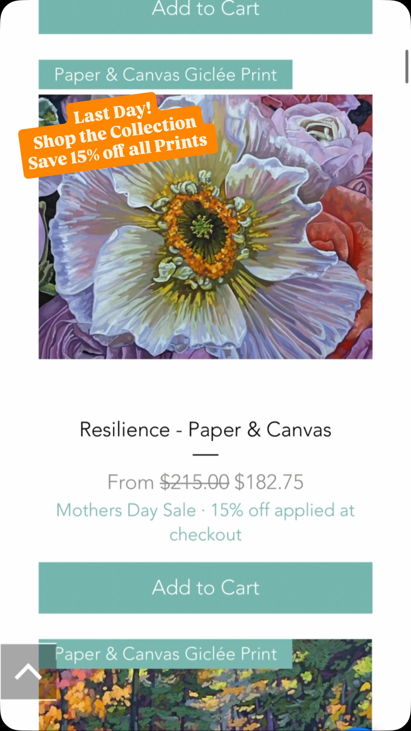 Last call for the Mother’s Day Print Sale!
Today is the final day to shop 15% off all prints. From quiet lakeshores to glowing skies and peaceful forests, I hope these pieces bring a little calm and beauty into your home.
15% off is automatically applied at checkout, no code needed.
Shop at wildwoodcayuga.com
Kerry Walford I Canadian Landscape Painter | Impressionism | Haldimand County #canadianart #landscape #artist #nature #calm