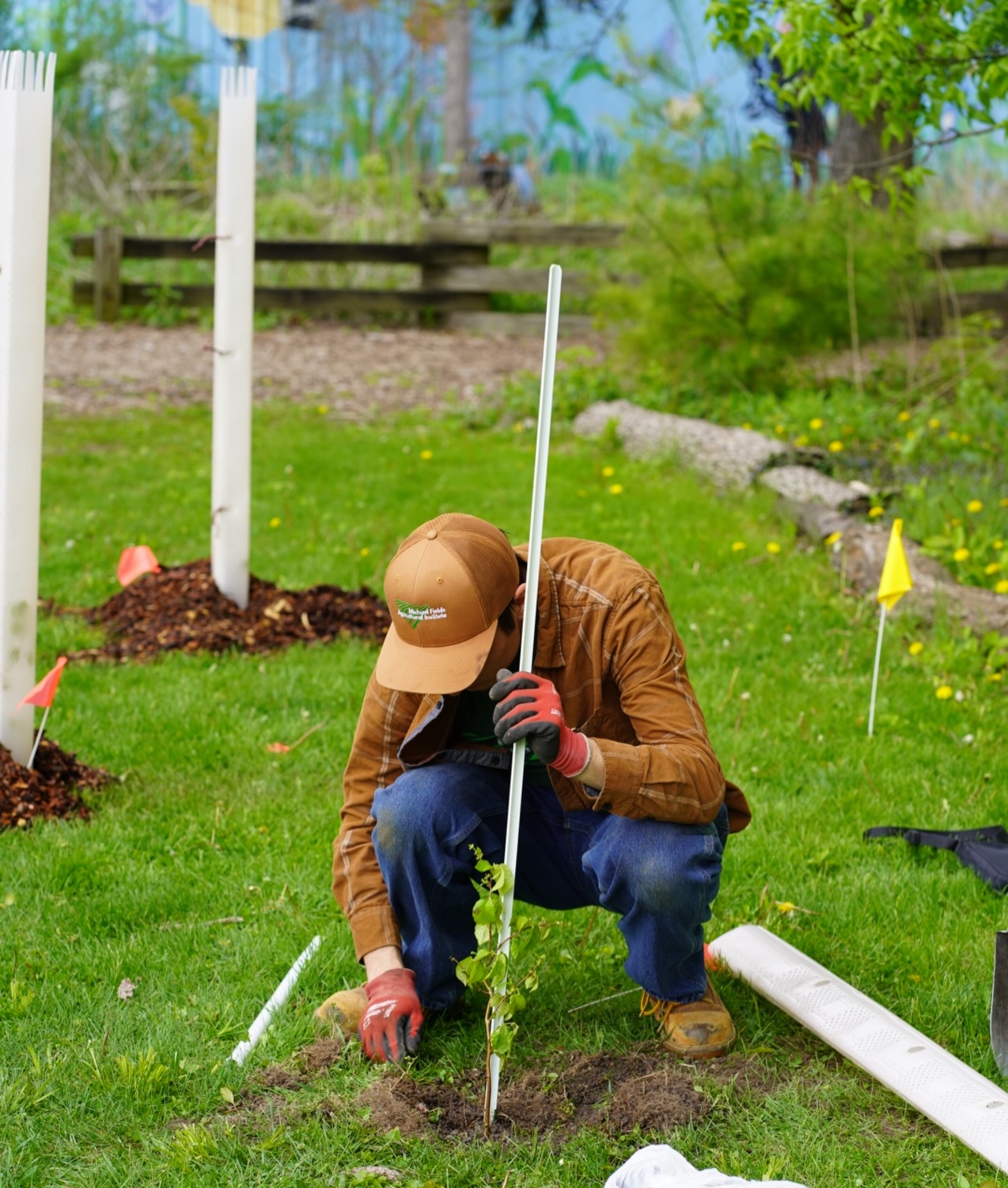 Learn how to plant trees and shrubs with MFAI Research Technician Nolan Burkard this Saturday and help plant a food forest and wildlife hedge at Kohl Farm Community Garden in Milwaukee. You will learn all about agroforestry and volunteer alongside experts. Sign up and get all the details at michaelfields.org/event-list