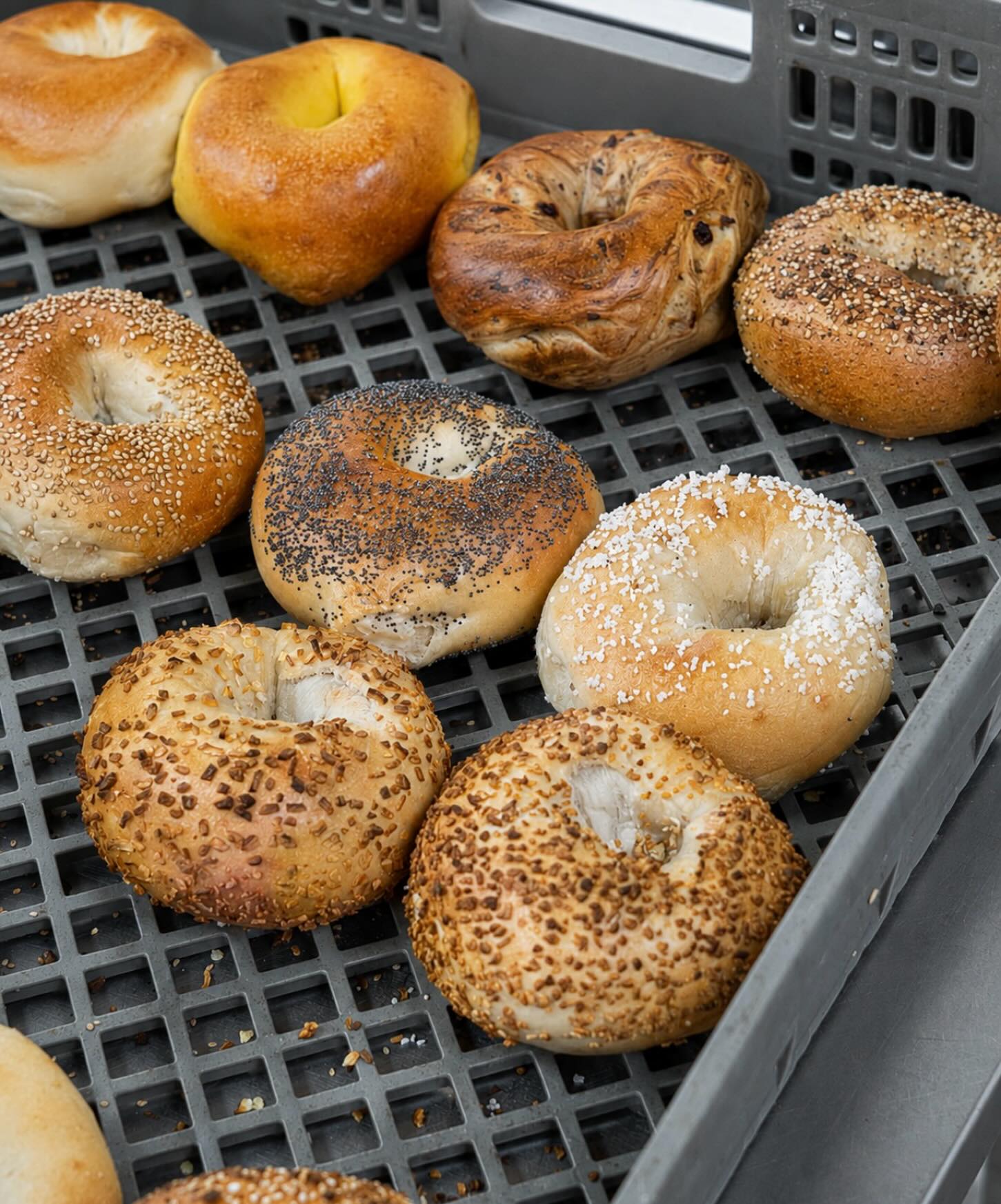 Treat Mom to a dozen of her favorites this Mother’s Day 💐🥯✨Fresh bagels, flavored cream cheese, and an easy way to make her morning a little extra special. #CinosHotBagels
#bagels #deli #longisland #oceansideny