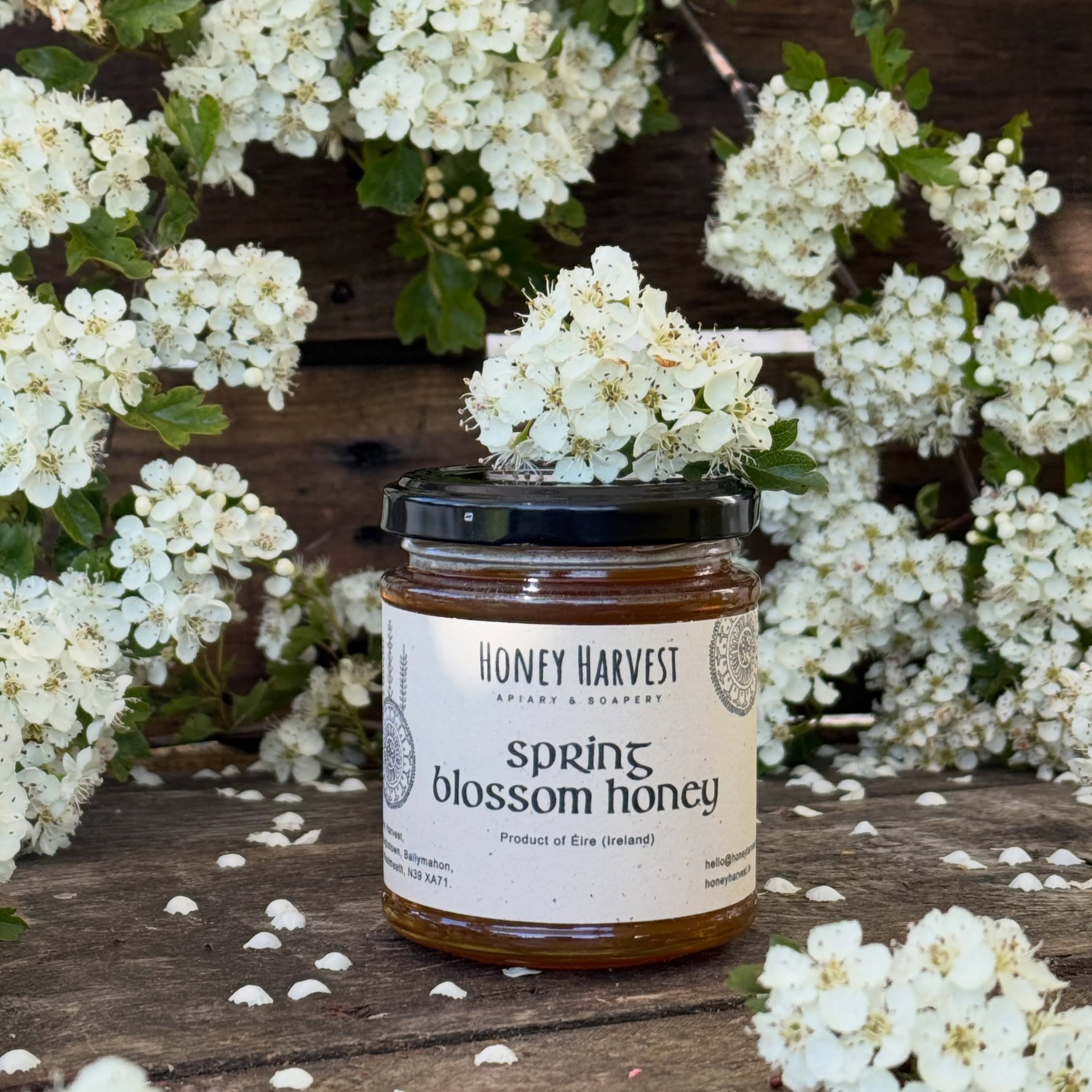 A little honey update 🍯
We’ve added a small discount on our Spring & Summer honey on the website — because new honey is on the way!
Help me make a bit of space in my tiny storage (aka honey heaven 😄) and grab a jar while it lasts 💛
#supportsmallbusiness #rawhoney #realfood #irishhoney #eatrealfood