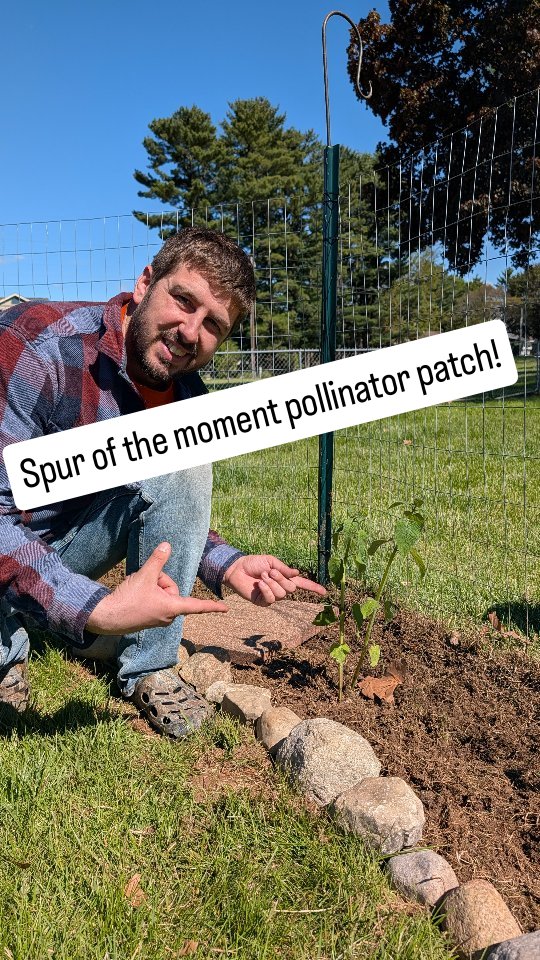 Sometimes you just gotta go for it! We were planting our garden and decided to take a detour.
We made a brand new pollinator patch bordering our garden. We can't wait to see it grow! 🌺🐝
What was the last spur of the moment project you completed?
#pollinatorgarden #gardening #neighborhoodhomestead #backyardgarden
