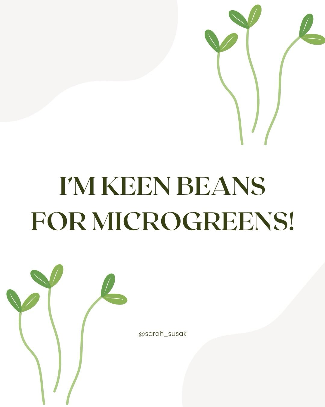 I’m keen beans for micro greens!
Read why here ⬆️
Special mentions for some of my favs @sprouthousefarms @x50lifestyle and @mingleseasoning
#healthtips #healthy #microgreens #sulforaphane #healthiswealth