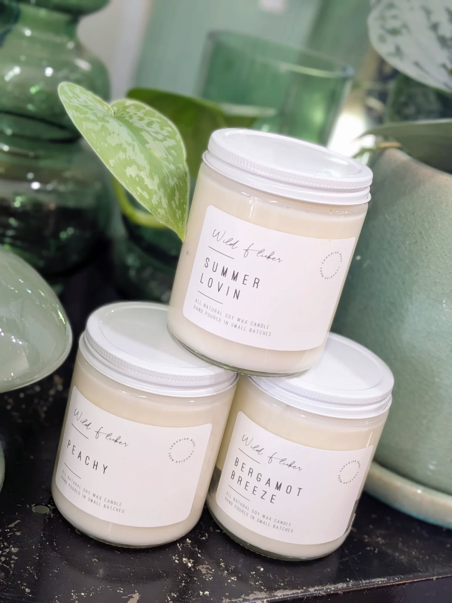 ✨ Wild Flicker Restock ✨
Fresh, clean, and inviting! These beautiful hand-poured soy wax candles are made in Ontario and crafted for a long-lasting, even burn. Made with non-toxic fragrances that are safe for everyday use, they’re the perfect way to bring warmth and comfort into any space.
We’ve also restocked reed diffusers, and new to the shop: luxurious hand soaps and refreshing room sprays.
