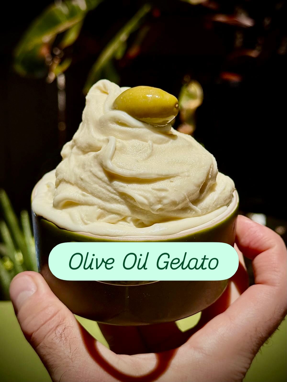 Silky olive oil gelato starts with exceptional olive oil. To keep the recipe well balanced, only a specific small amount can be added so we prefer to use early harvest for maximum flavor. The variety that we used on this test batch is fruity, fragrant, and a little peppery. The olive oil flavor shines in every spoonful. 🫒🍨