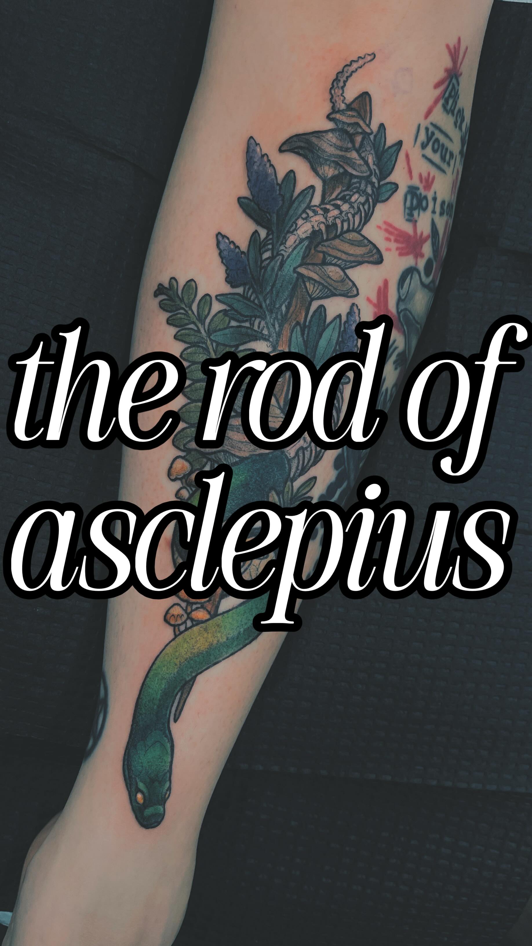 🚨This is not the caduceus . And yeah… I’m going to be annoying about that.
⚕️The Rod of Asclepius (one serpent, one staff) has always been the true symbol of medicine. The caduceus (two snakes, a winged staff) belongs to Hermes: commerce, negotiation, trickery… which feels a little too fitting to describe the current landscape of healthcare today.
But this tattoo is about healing & the true roots of medicine. I worked with my artist to create a version that feels more honest to the process of becoming a physician and a human:
🐍The snake is descending, not rising.
Because true healing starts with descent: into the body; into the shadow; into the parts we’d rather avoid.
✨Alchemy 101: nothing transforms without nigredo (putrefactio & mortificatio)
🦴Halfway up, the snake fades to its skeleton, because death is not separate from healing. Something has to end for something else to emerge.
🌿The rod is overgrown with reishi, turkey tail, ferns, lavender with a garden snake because healing is ecological. It lives in the relationship between body, environment, and time.
⚖️Don’t get me wrong: this isn’t me rejecting modern medicine for herbs because, in the end, modern medicine saves lives. I trust it and I’m training in it… but healing asks for more than the transactional clinical encounters corporate medicine tries to force us all to accept. This tattoo is me asking our current model of healing to evolve… to hold all of the paradox and yield the final alchemical gold.
⚕️This is my reminder that the future of medicine isn’t either/or. It’s cycles of descent and return, it’s integration, and it’s as symbolic as it is real. I have always been enamored by the intersection of the art and science of medicine, and being so close to diving into my final year before graduation has me reflecting deeply on the kind of lessons I want to take with me into the rooms of my future patients 🖤