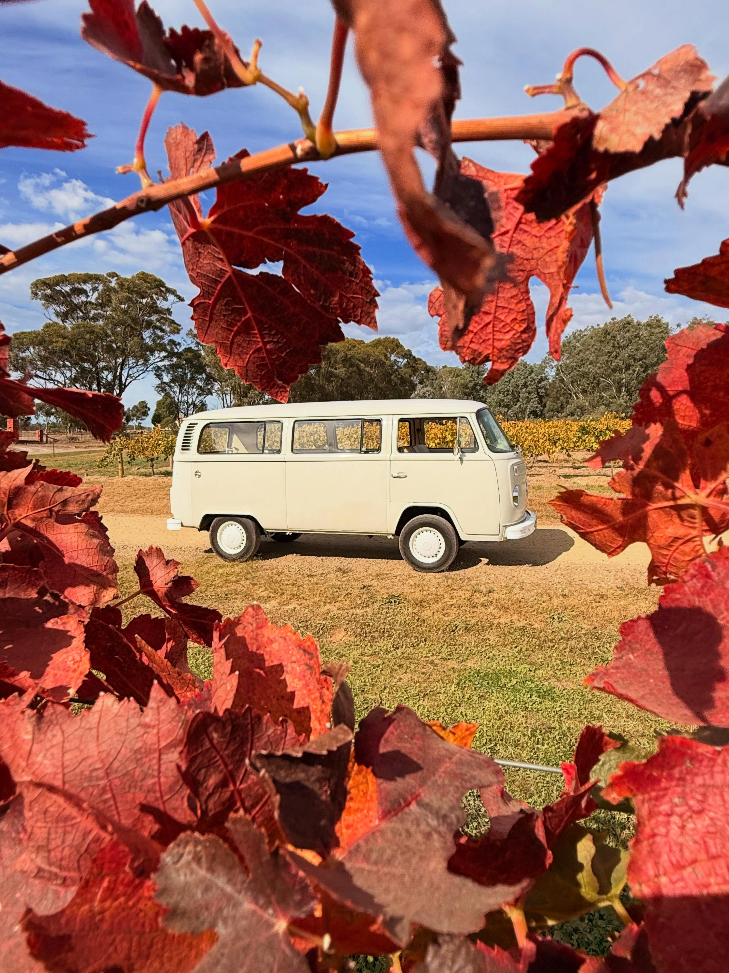 The kombi is just one part of experience
#unique #uniqueexperience #bestwinetours