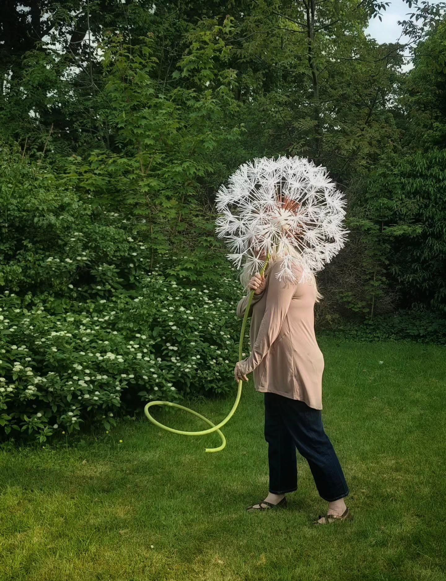 Giant dandelion made from crepe paper!
It's always great to make something a little different and on a different scale to my normal flowers. I've made a few daisies and other blooms to go with this one, along with some usual sized ones.
If you want some giant statement flowers for decor, events, window displays or visual merchandising just get in touch.
#paperflowers #paperflorist #dandelion #giantpaperflowers #botanicalart