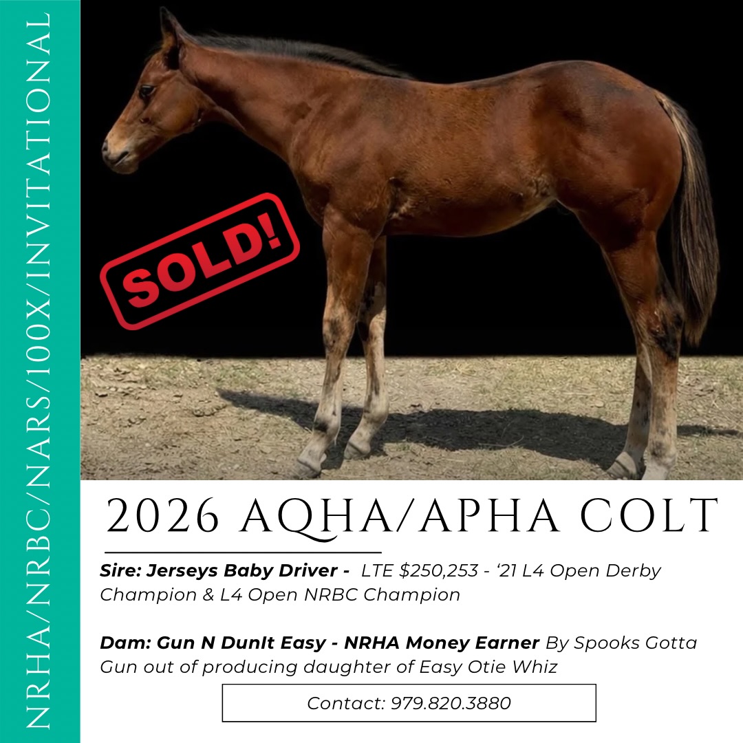 We love it when we get to match unicorns with new owners that have big goals for them! This colt will be one to watch in the future. Thank you Patricia Stabler for allowing us to represent your foal crops year after year! Congrats to his new owners!
Message us we have more great ones available!
#whoazoneequine #horsesofinstagram #horselove #reining #equestrian