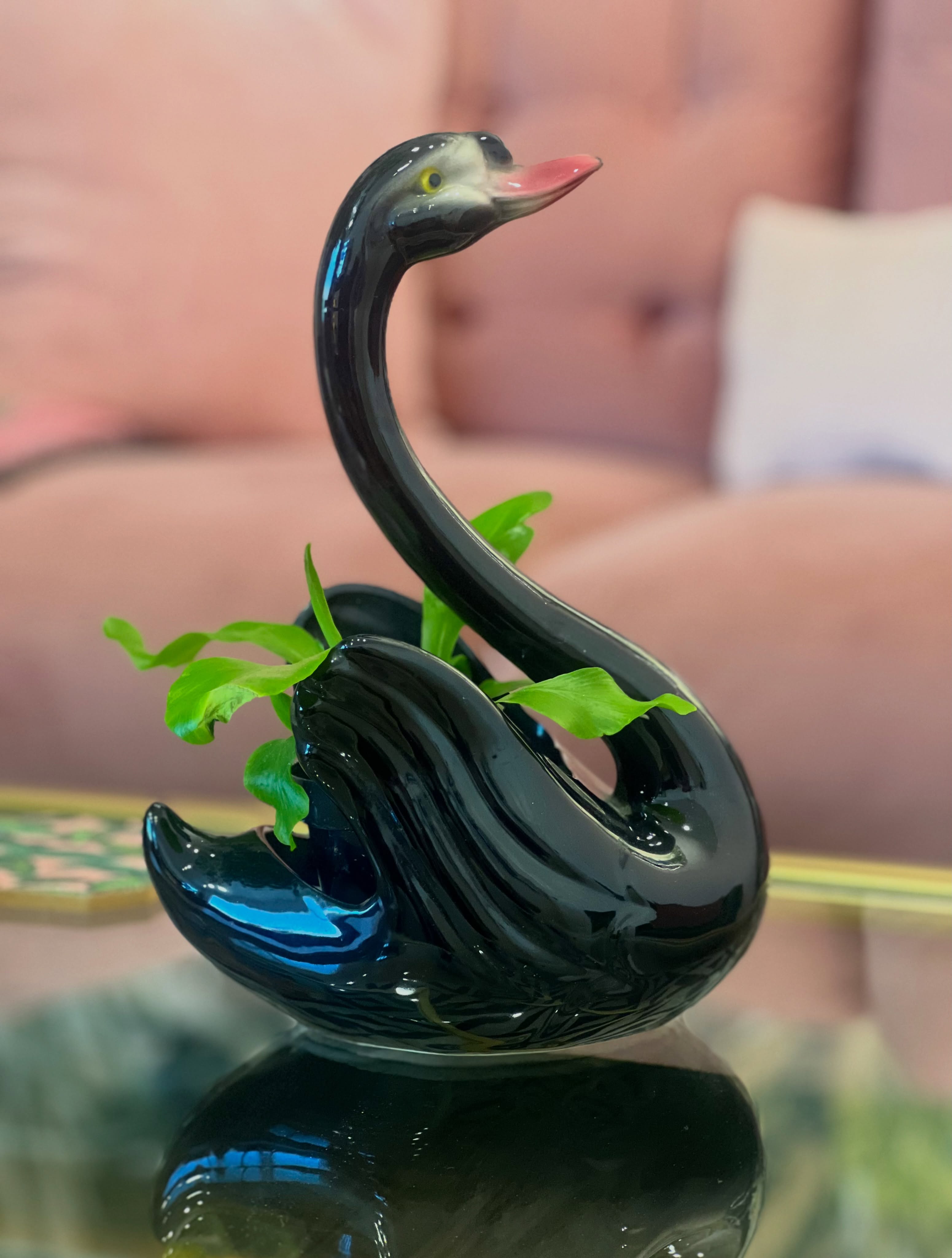 New to me
Vintage black swan 🦢
Of course I put a little plant 🌱 in it