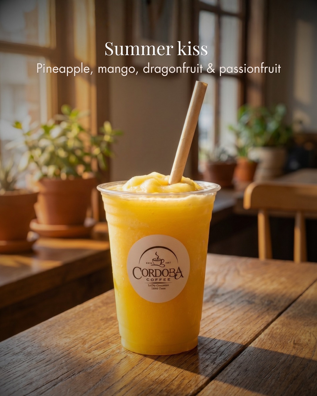 Meet Summer Kiss. A tropical mix that tastes like sunshine in a cup. Bright, refreshing, and perfect for your next pick me up.
👉 Try it in store today. Open 7 days ☀️🥭
#cordobacoffee #proteinsmoothie #healthydrink #summerdrink #campbellscrossfarm #sunflowerfarm #inglewood