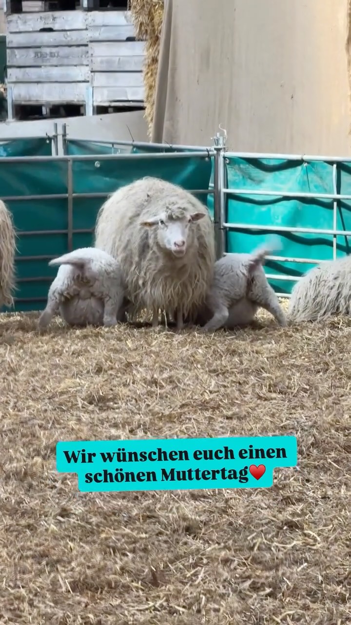 🫶 Allen Müttern einen entspannten Tag - gönnt euch was!