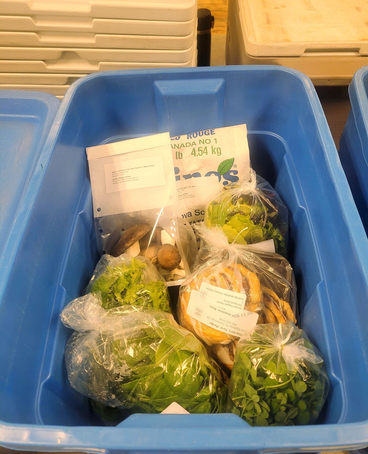 Ordering closes this evening at 7pm, be sure to get this weeks grocery order in! Check out the variety of fresh greens and transplants from our farmersš±š»ā
ā
#wolfvillefarmersmarket #wolfville #annapolisvalley #novascotia #farmersmarket #wfm2go #shoplocal #eatlocal #buylocal #supportlocal #freshproduce #community #letsdothis