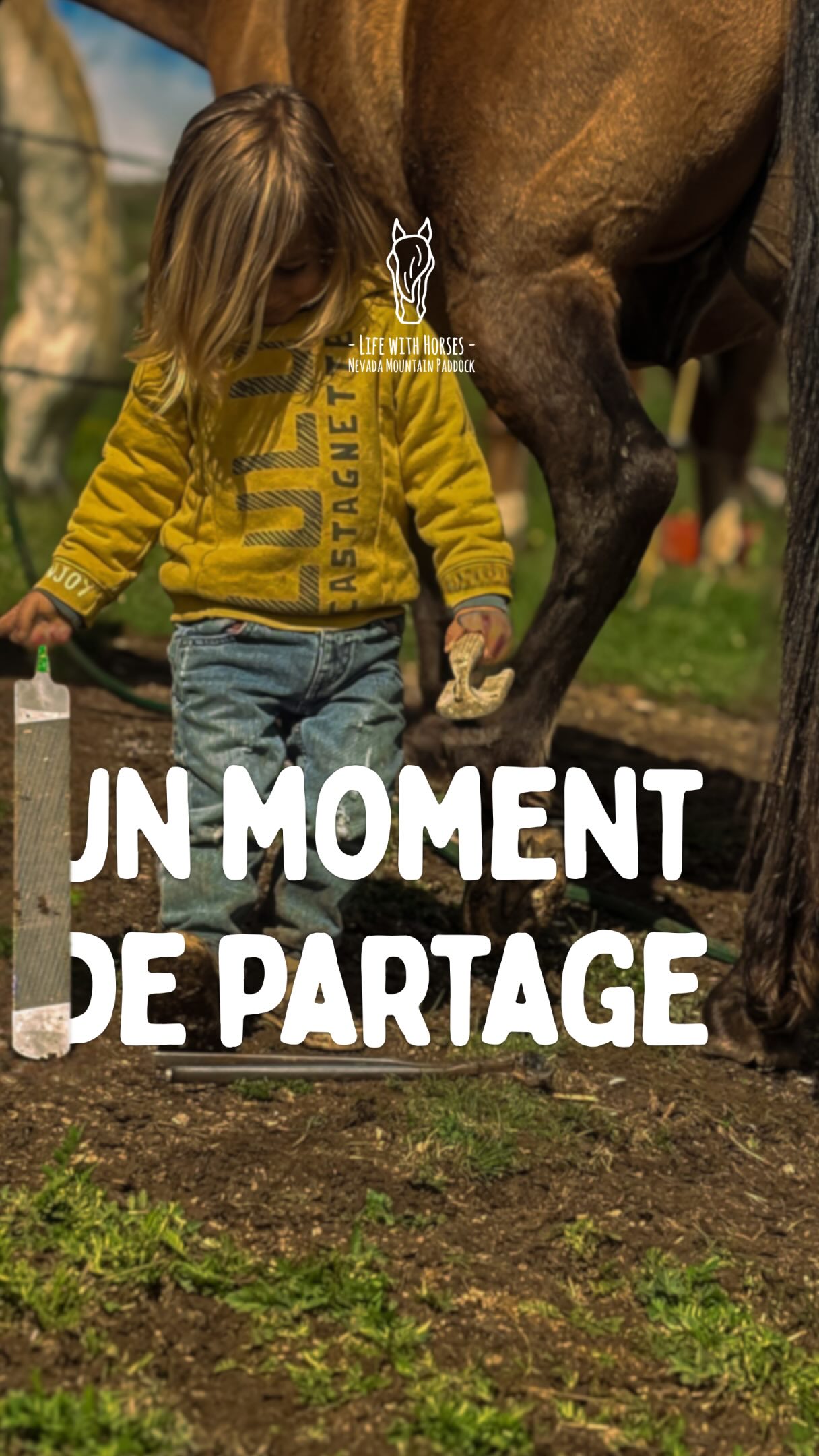 Encourager, accompagner, transmettre…
On vous partage ici un petit moment de la vie au ranch,
de ces instants précieux d’éveil, de curiosité et de spontanéité.
Un futur Hoofbuilder @david_landreville 😉🐴
🇦🇩 Transmetre, acompanyar, fer créixer en autonomia…
Us compartim un petit moment de la vida al ranch,
d’aquests instants preciosos de descobriment, curiositat i espontaneïtat.
Un futur Hoofbuilder @DavidLandreville 😉🐴
🇬🇧 Passing on, guiding, empowering…
A little moment of ranch life here,
one of those precious moments of discovery, curiosity and spontaneity.
A future Hoofbuilder @davidlandreville 😉
#grandir #transmission #hoofbuilder #hooftrimming #ridewithconnection
