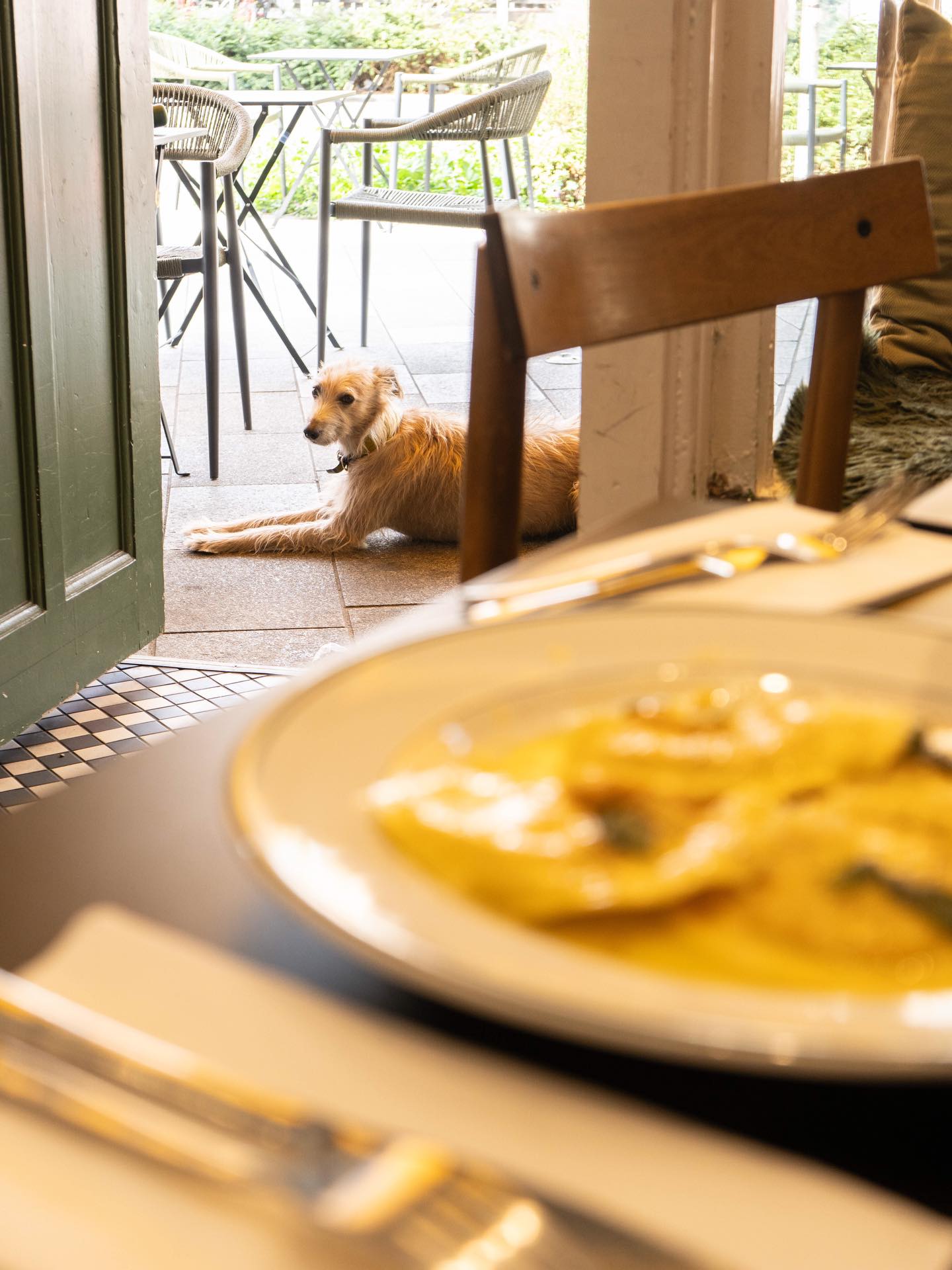 Good food is even better with your furry best friend by your side 🐾🇮🇹
We love seeing your little companions hanging out with us at Ciullo’s, so don’t forget to show them off and tag us in your pics ✨
#CiullosPets #DogFriendlyCafe #ItalianVibes #CoffeeAndCanines #dolcevitadays