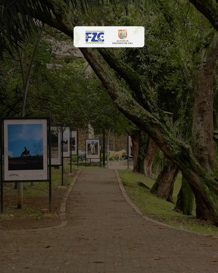 🔊 Cada sonido de la naturaleza cuenta una historia.
La ciudad, la cultura y la naturaleza se encuentran en un mismo paisaje sonoro que refleja la esencia de nuestro territorio. 💚✨
📍Conoce esta increíble exhibición fotográfica en el Corredor del Río Cali.
#Cali #FZC #ExhibiciónFotográfica #CorredorDelRío