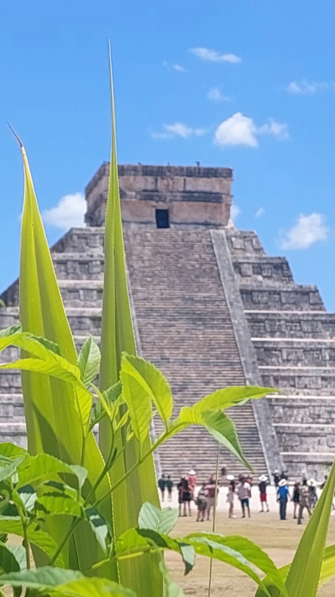 One day in Yucatán = ancient wonders, colorful streets, local food, and a magical cenote swim.
Our Chichén Itzá Discovery Tour is the perfect mix of history, culture, and adventure — because Mexico is meant to be experienced, not just seen ✨
#chichenitza #mexicokantours #wonderoftheworld #yucatan #cenoteadventure valladolidmexico travelmexico