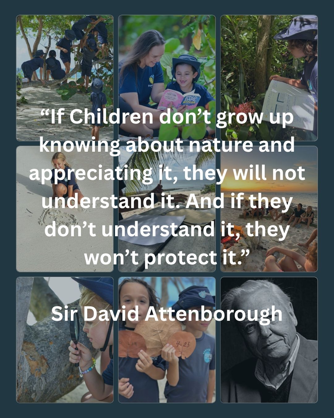 We couldn't agree more, Sir David! Happy birthday and thank you for all that you have taught us about our wonderful planet Earth.
We promise to look after it.💙🌎🐢🌴
#davidattenborough