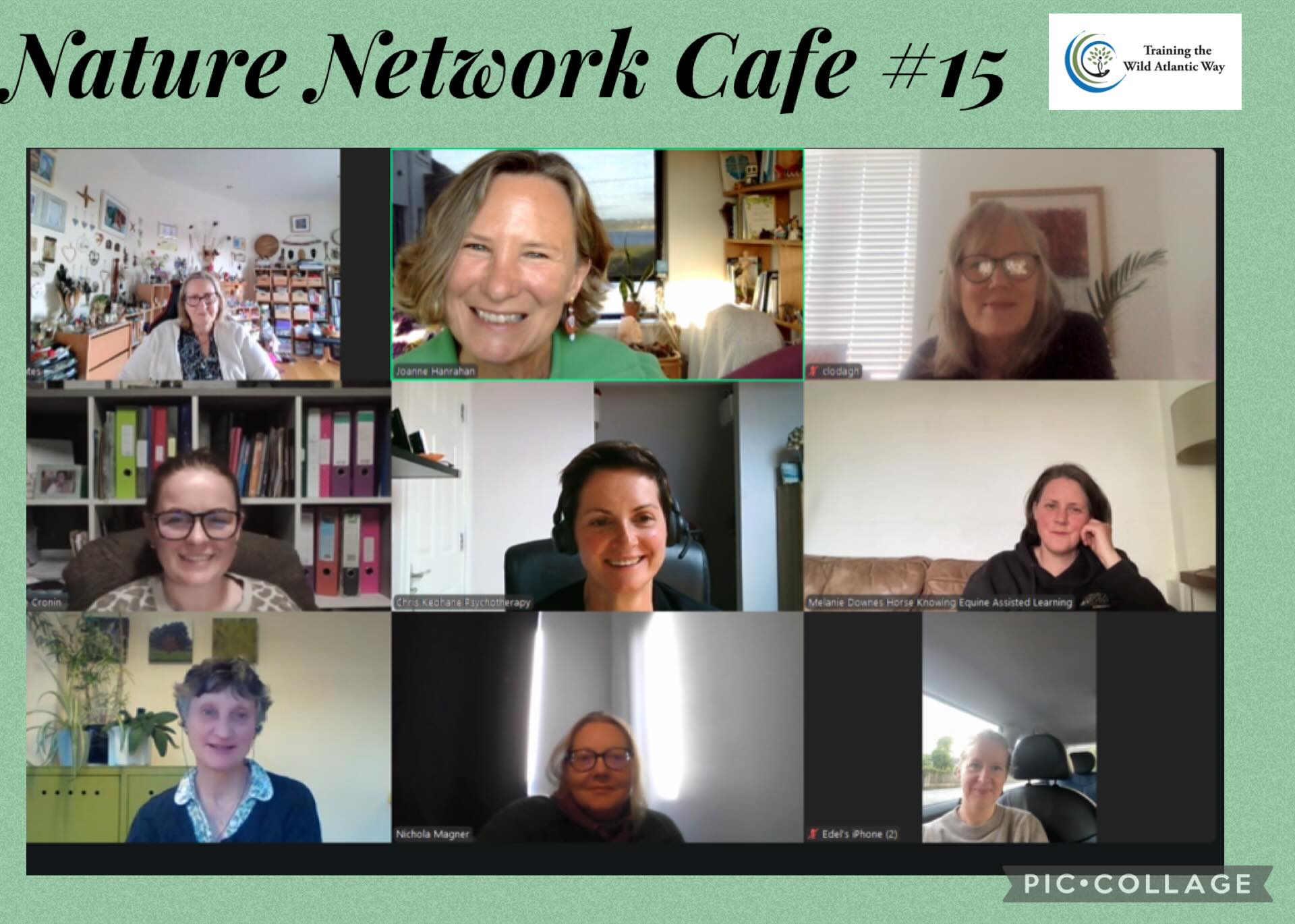 😀 I really enjoy the community of people who attend my free online bimonthly ‘Nature Network Cafes’. There is always such richness in the groups.
🌞 Yesterday evening we welcomed Bealtaine.
🌼 I invited everyone to step away from their screens briefly, to go outside and see what seasonal ‘other’ they were drawn to. In just taking a few minutes pause, the group had joyful encounters with Swallows, Swifts and several different flowers of May.
🥀 At the end of a busy day we all found ease and connection in the more-than-human and each other.
📧 If you are interested in Ecotherapy and would like to join in with these Nature inspired informal get togethers, feel free to subscribe to my mailing list via my website joannehanrahan.ie