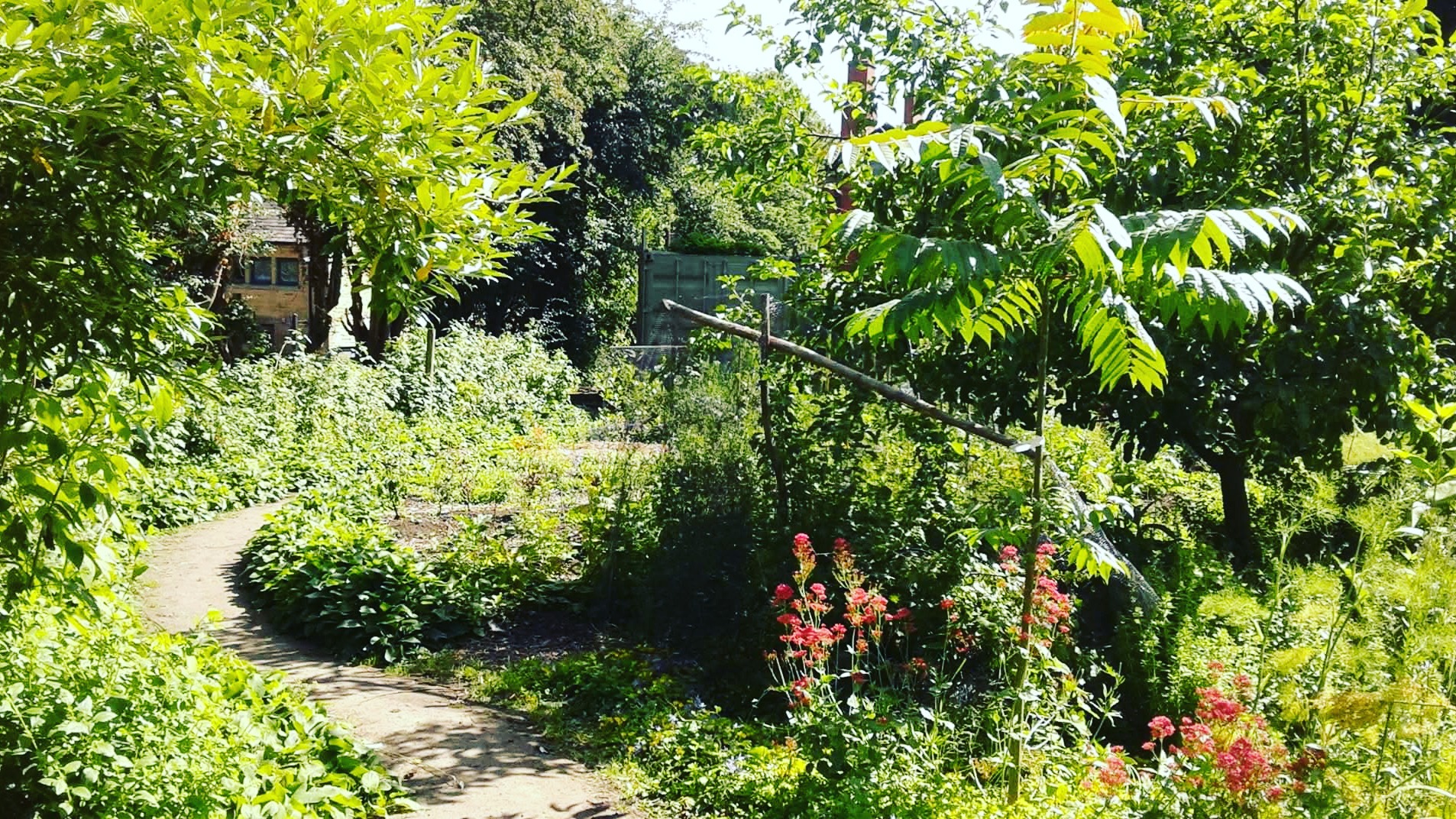 LEEDS PERMACULTURE NETWORK SOCIAL
Saturday 16th May
All welcome!
3pm to 7pm (or later if folks want to stay on.)
"Our family friendly May social will take place at Bedford Fields Community Forest Garden (LS62LG).
"Directions & info:
bedfordfields.co.uk
"Programme:
Explore the Leeds Permaculture Network Demonstration Centre Forest Garden, inc. community nursery, swales, composting, specialist guilds, community streets project, workshops etc.
"PLUS foraging and sticky weed challenge...with prizes!
"5pm onwards: social with
foraged food, wood-fired BBQ in our roundhouse, pick your own herbal tea. Feel free to bring food and drink to share.
"Please RSVP: bedfordfieldscfg@gmail.com. Let us know if you want BBQ food/can bring a dish to share."
There is a kitchen and a composting toilet on site, and there will be a selection of forest garden plants for sale.
@leedspermaculturenetwork @bedfordfieldscfg