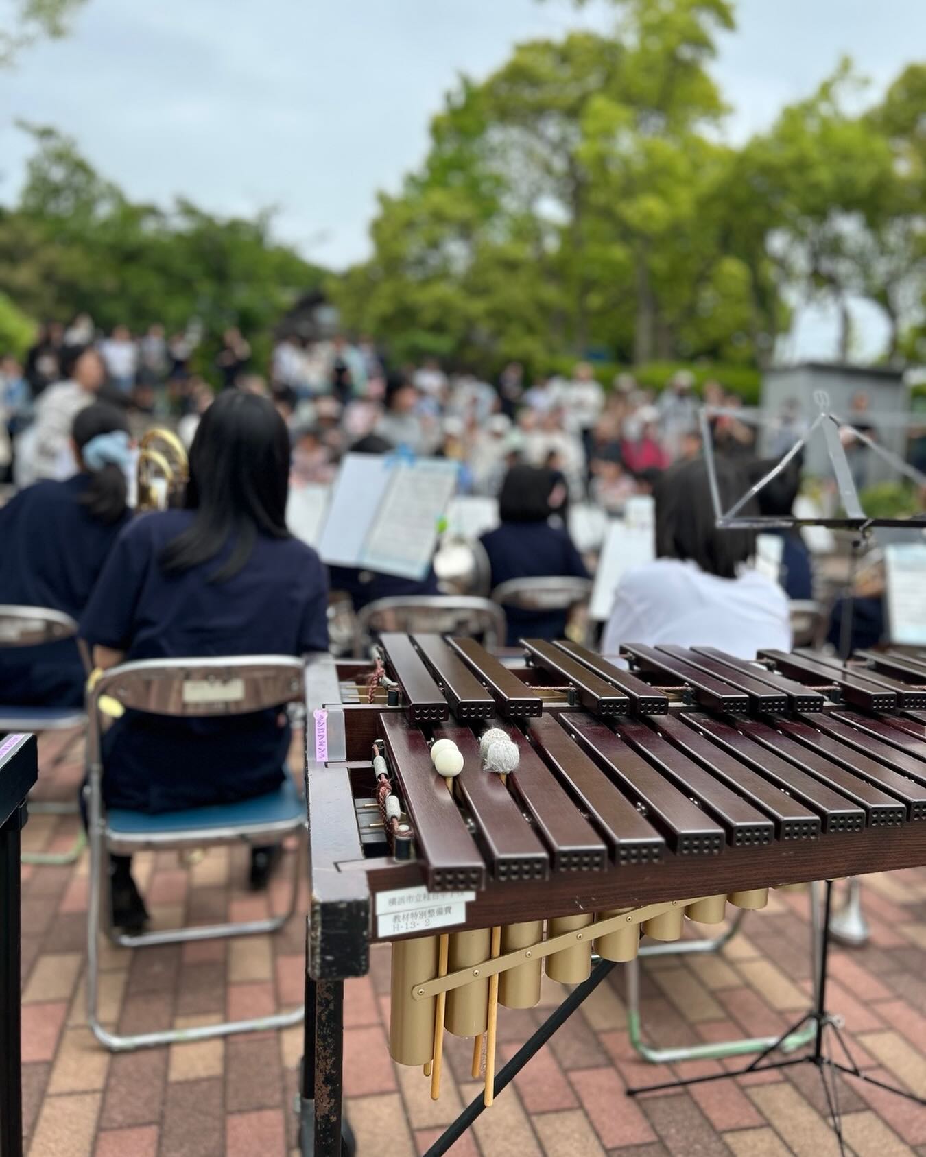 桂台中学校吹奏楽部の演奏が始まります。
#フェスタ #桂台
#桂台公園