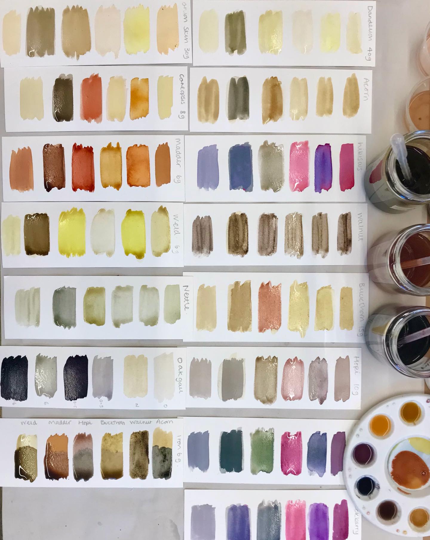 We made all these colours in our Botanical ink making Saturday workshop 🤩 such wonderful results 🌈 from using fresh and dried plants that were gathered or grown locally including nettle, dandelion, madder, weld, scabious, hibiscus, oak gall, acorn and walnut. ✨ #sustainablepractices #botanicalink #naturaldye #sustainablestudio #coloursfromnature