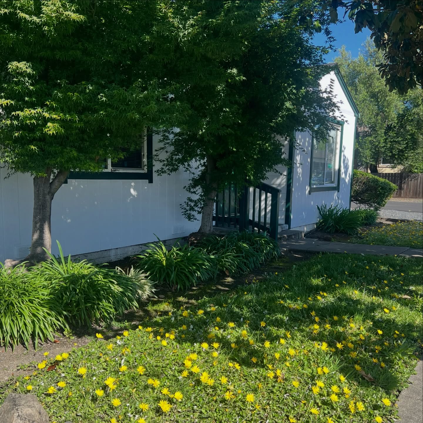 Spring time in Sonoma County
Outside the shop