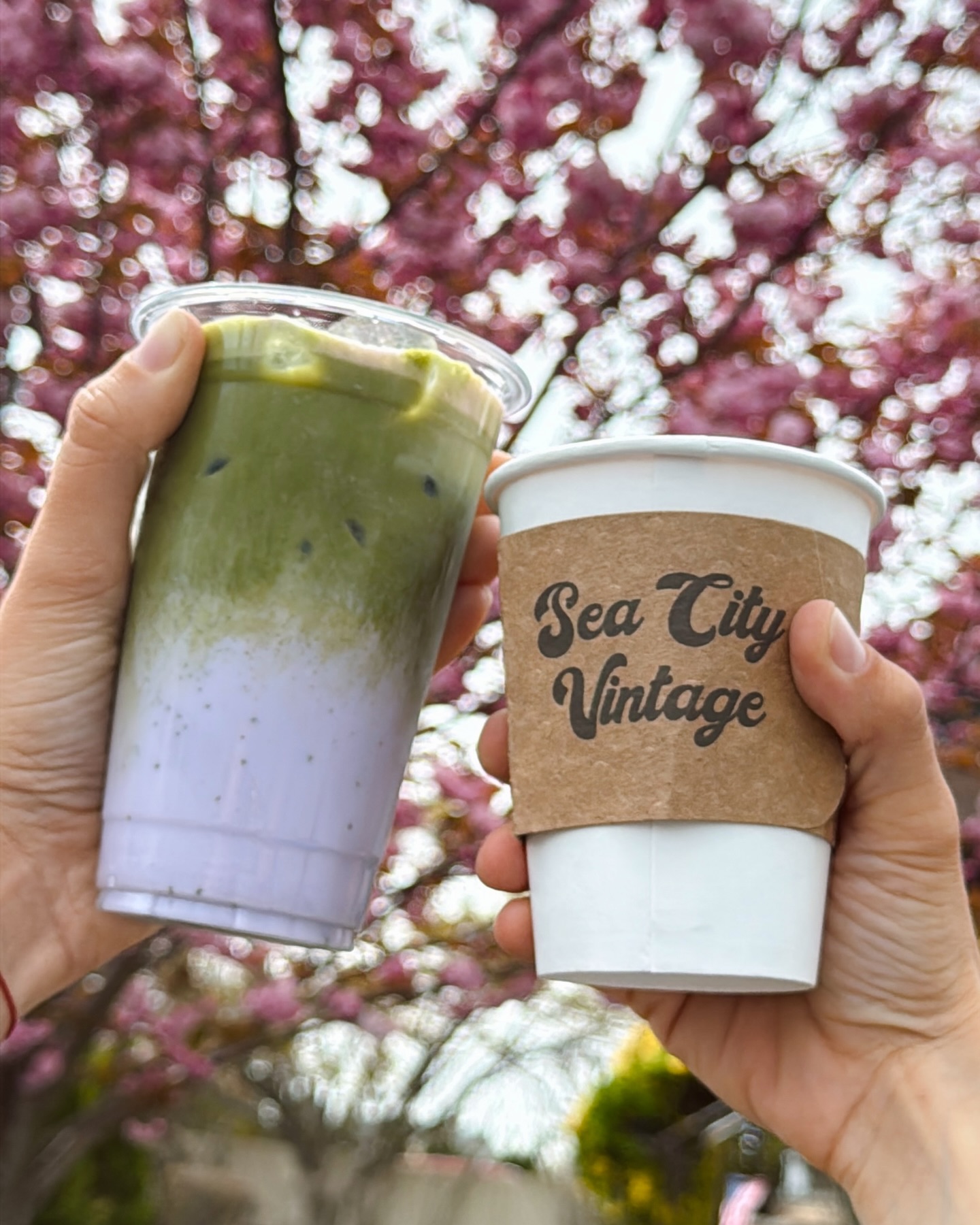 Spring drinks are here! 🌸☕️ @islandroastandtoast
Ube Lavender Matcha 🍵 matcha, lavender syrup, ube and your choice of milk
Rose Cardamom Latte 🌹 double shot of espresso, rose syrup, cardamom, your choice of milk
As always we are proud to brew @fluxcoffee ☕️ Open 7-5 daily!