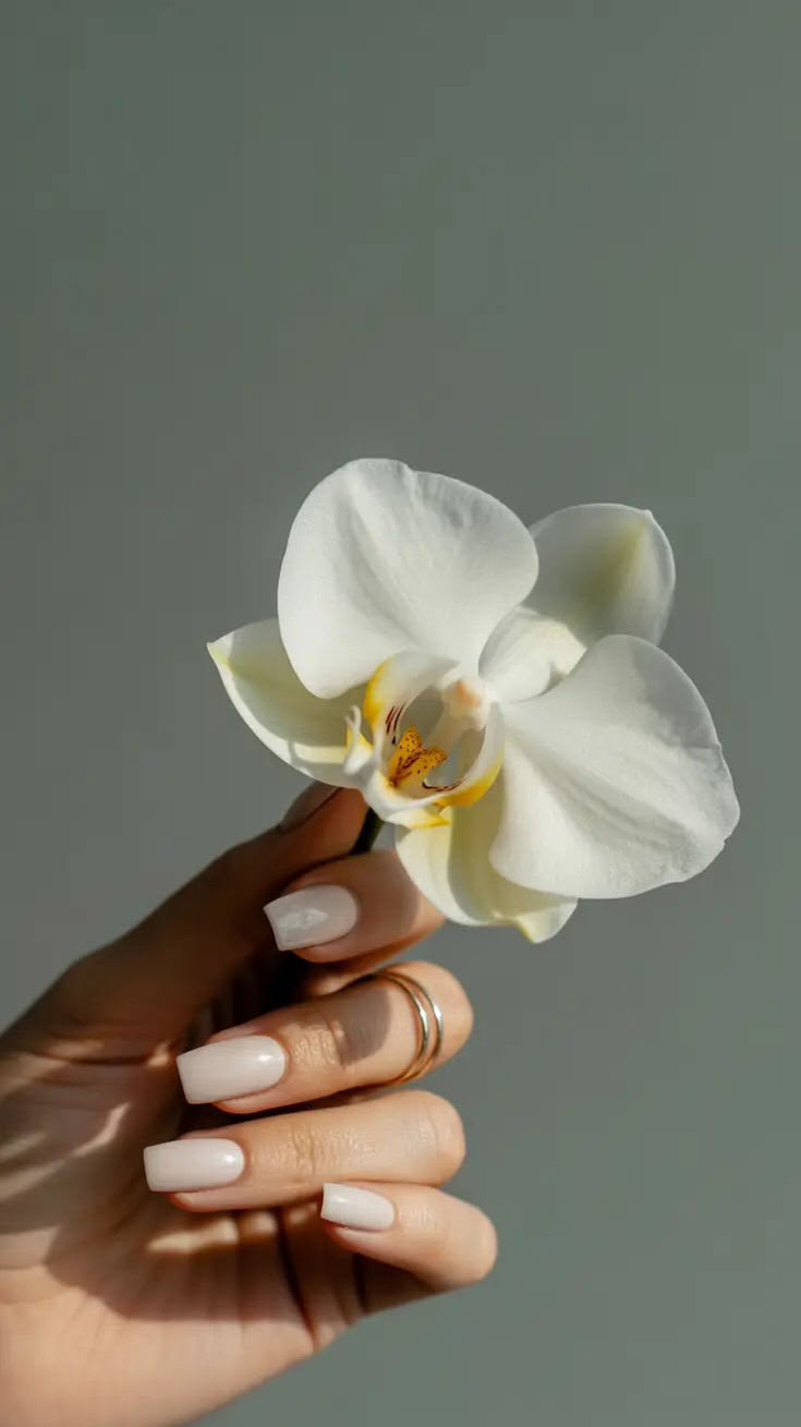 Fresh nails, clean mood, quiet confidence - your perfect detail starts today at LUXE ME beauty studio always 🤍
To make an appointment:
Direct, 214 430 1001
•
•
•
#PlanoLashes #FriscoLashes #AllenLashes #PlanoNails #FriscoNails AllenNails TexasLashExtensions TexasNailArt PlanoBeautySalon FriscoBeautyBar AllenBeautyStudio DallasBeautyScene TexasGlam TexasSelfCare PlanoSpa FriscoSpa AllenSpa HeadSpaPlano HeadSpaFrisco TexasWellness